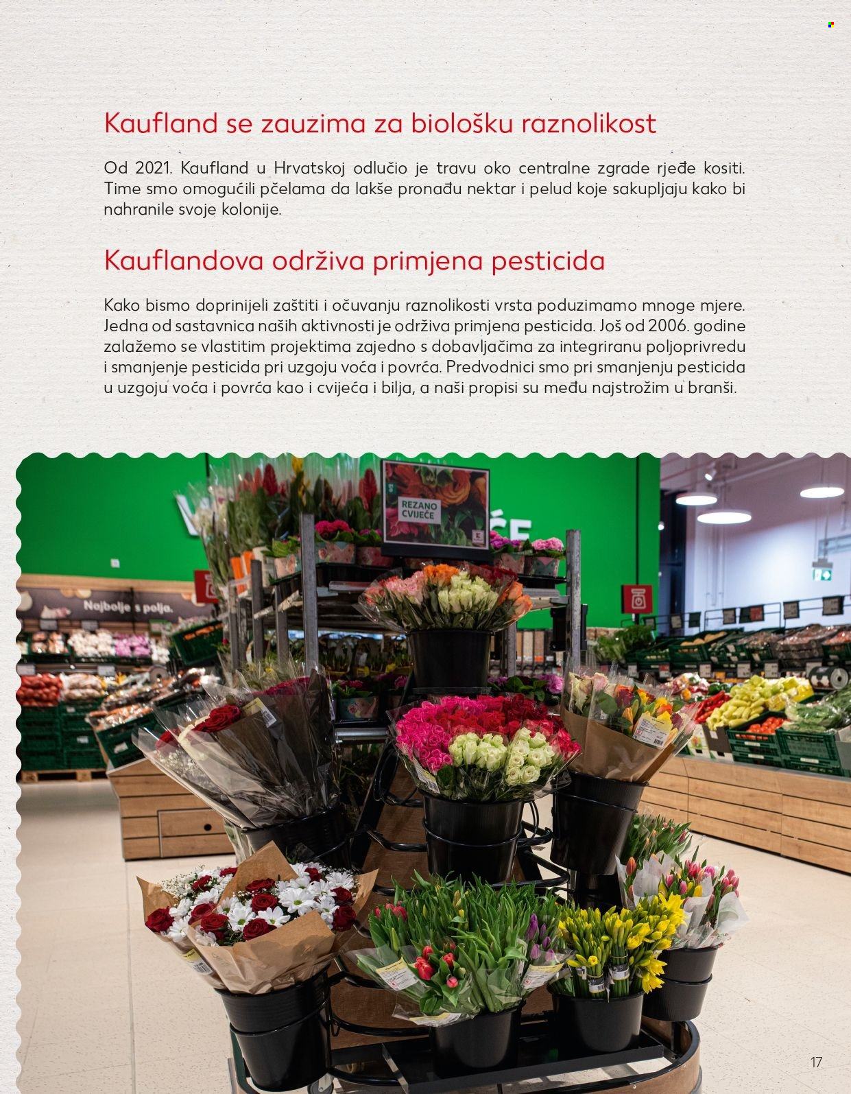 Kaufland katalog - 17.04.2023. - 07.05.2023. Stranica 17
