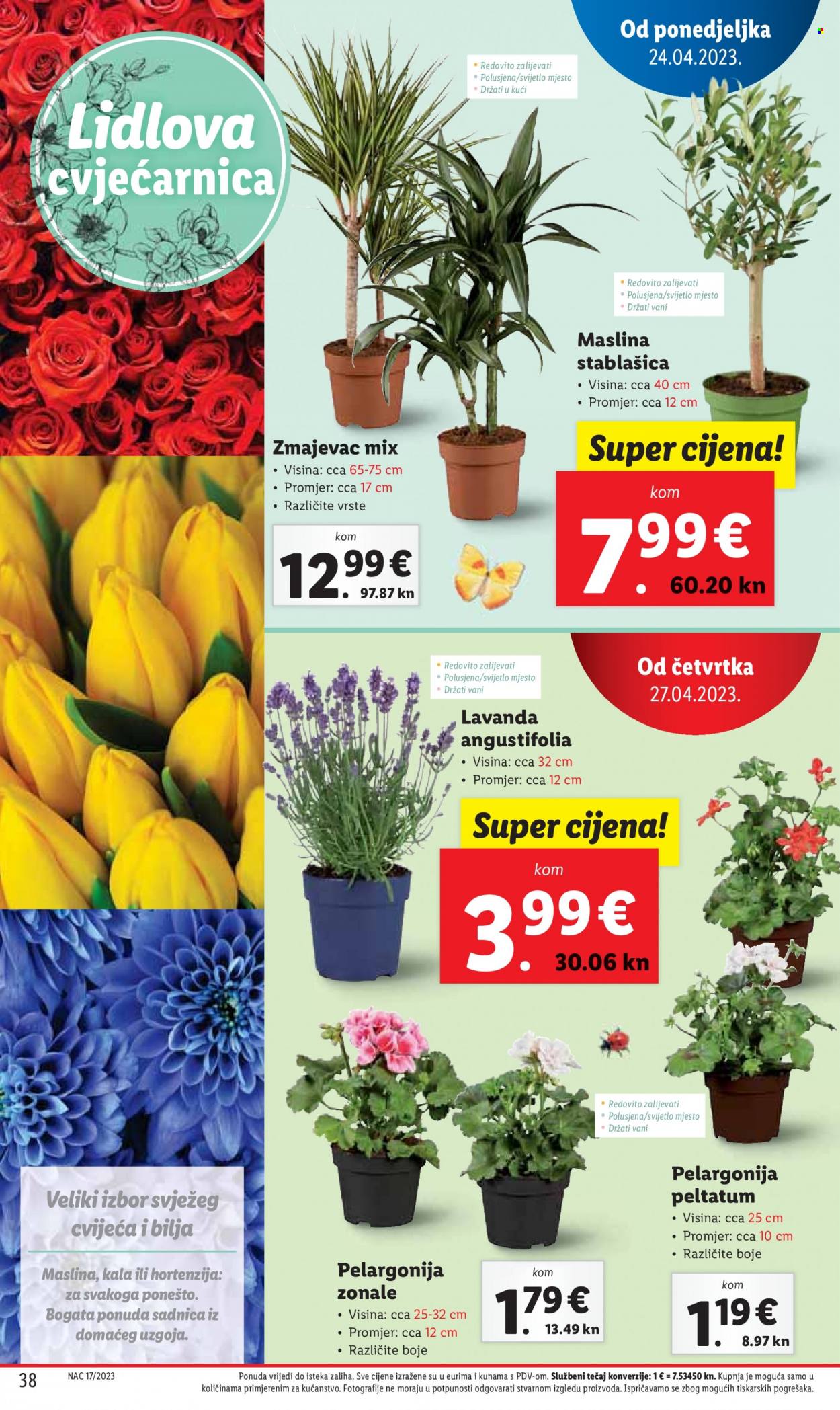 Lidl katalog - 24.04.2023. - 01.05.2023. Stranica 38