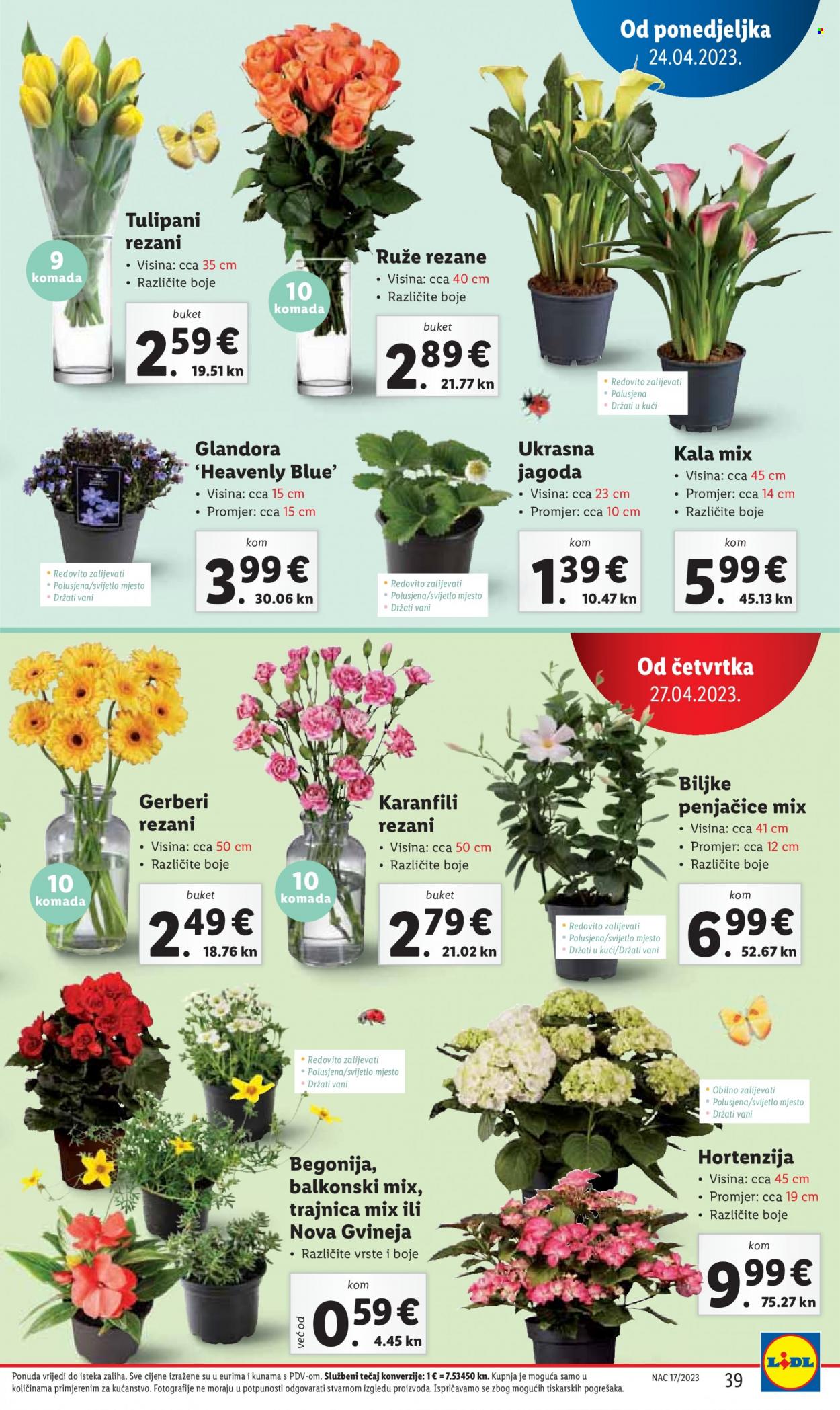 Lidl katalog - 24.04.2023. - 01.05.2023. Stranica 39