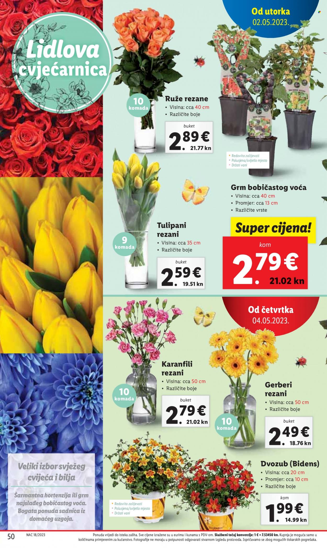 Lidl katalog - 02.05.2023. - 07.05.2023. Stranica 50
