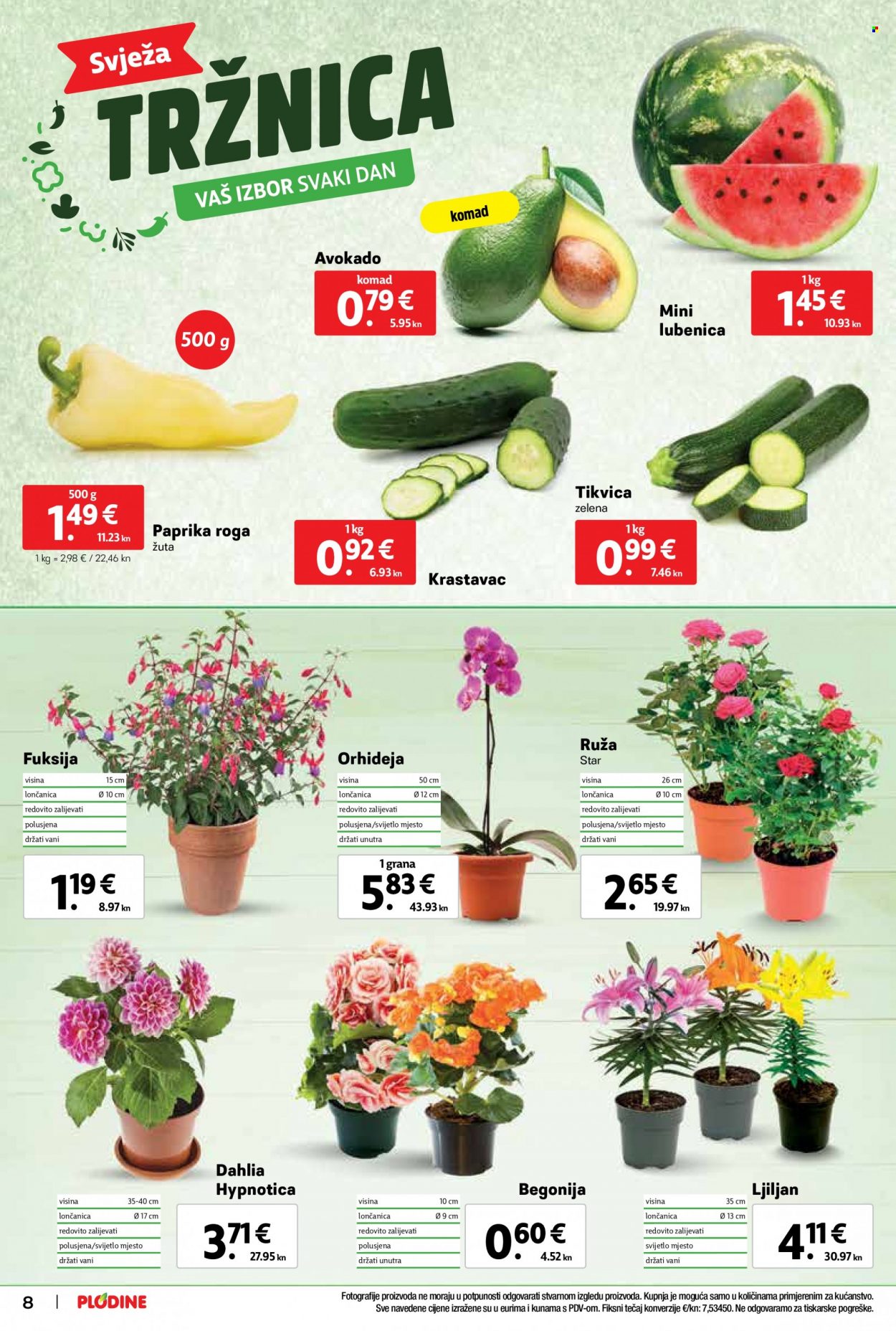 Plodine katalog - 10.05.2023. - 16.05.2023. Stranica 8