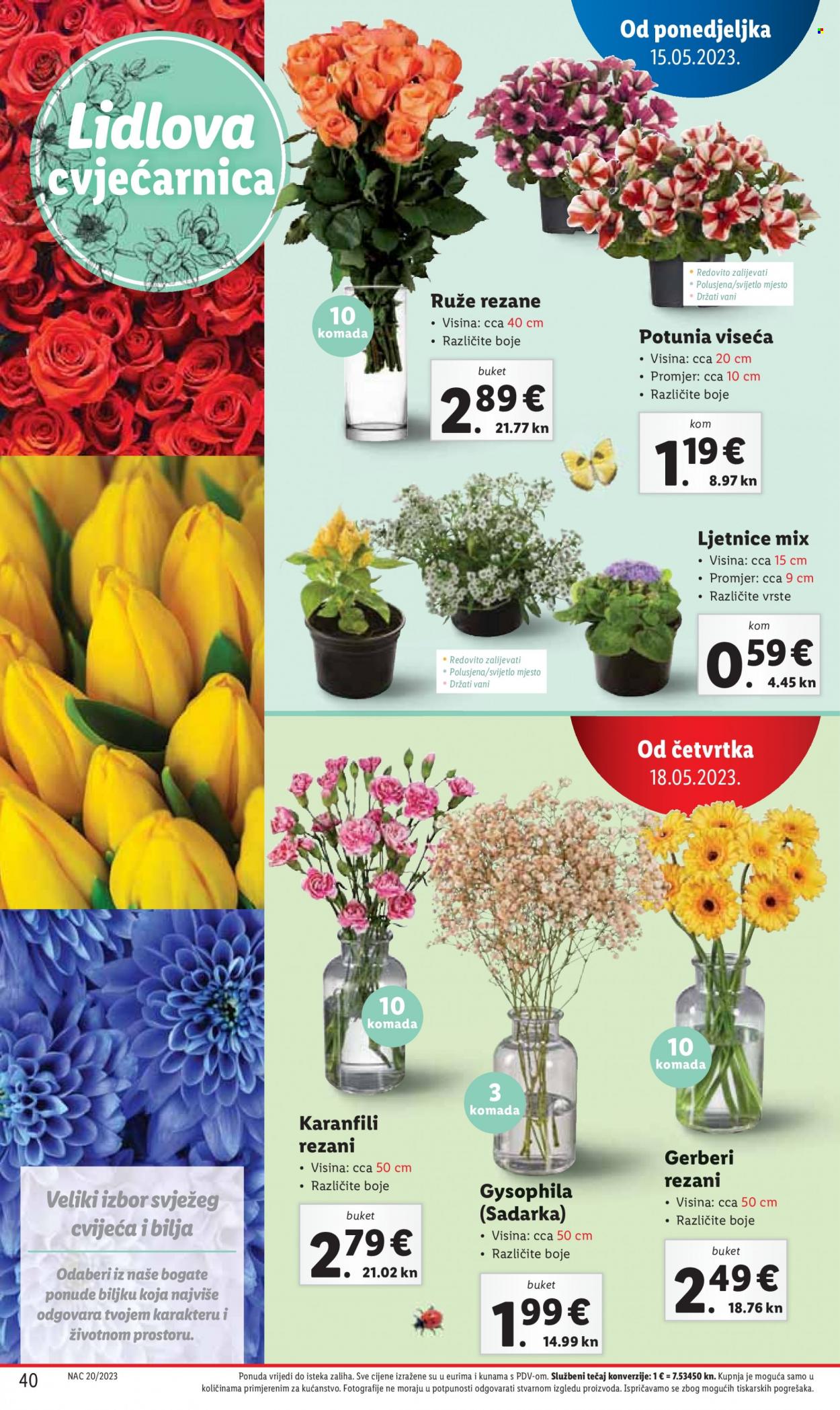 Lidl katalog - 15.05.2023. - 21.05.2023. Stranica 40