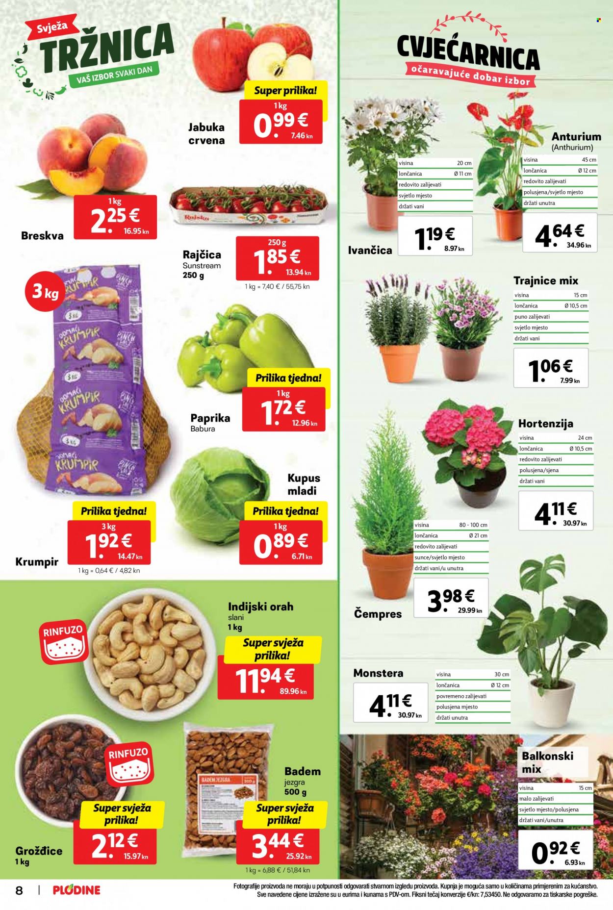 Plodine katalog - 17.05.2023. - 23.05.2023. Stranica 8