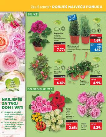 {store} katalog