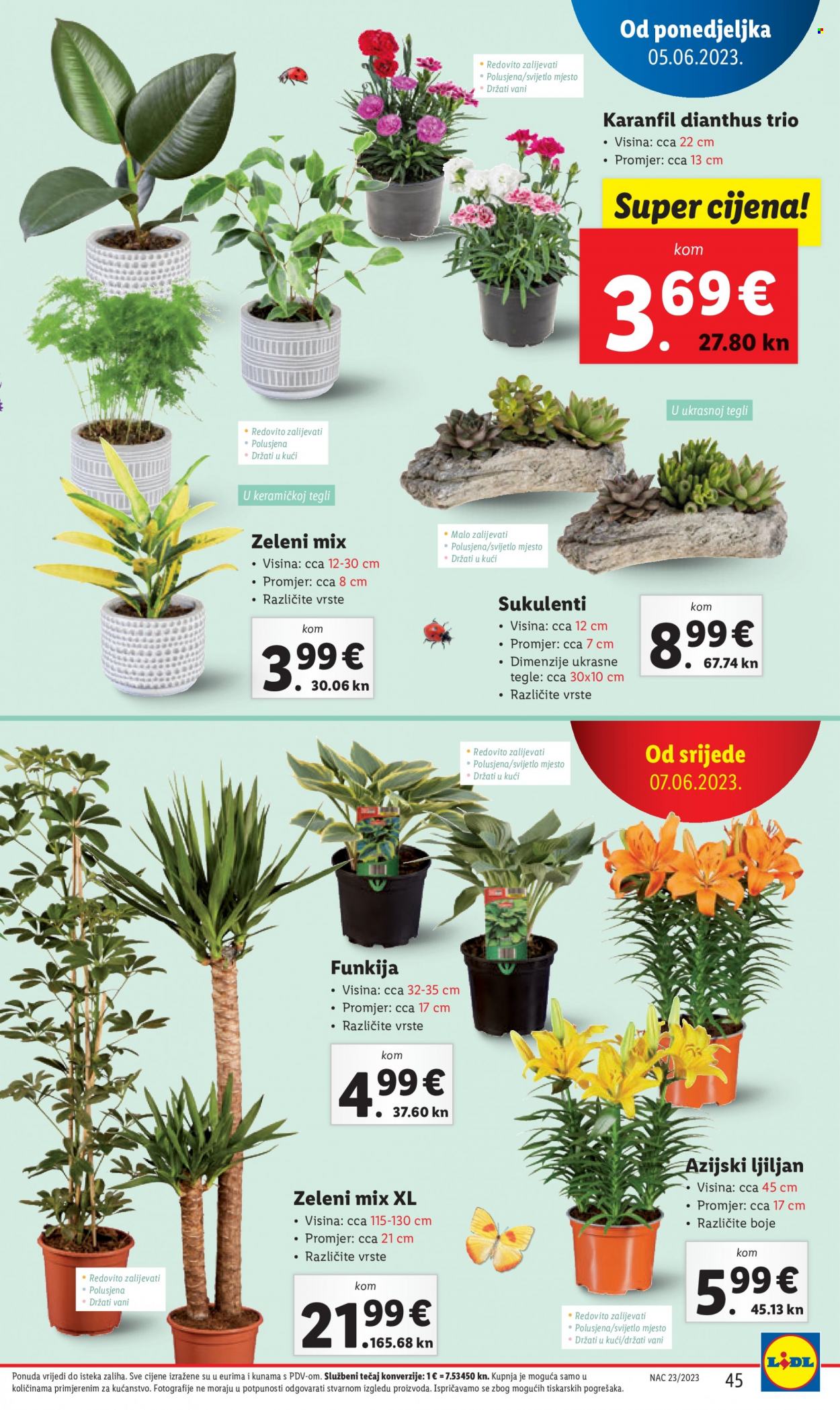 Lidl katalog - 05.06.2023. - 11.06.2023. Stranica 45