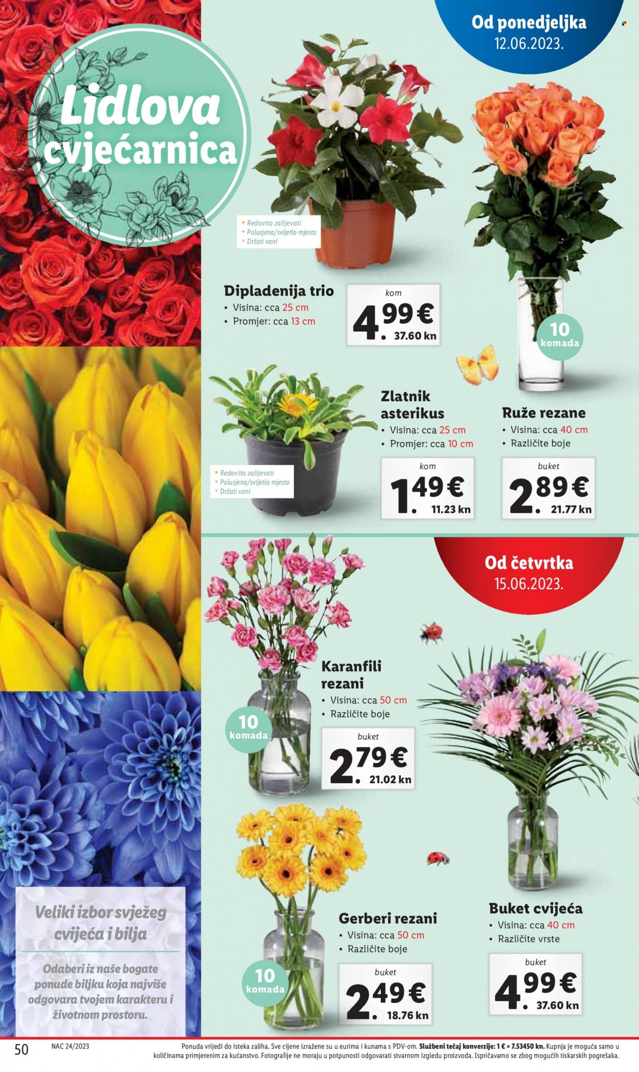 Lidl katalog - 12.06.2023. - 18.06.2023. Stranica 50