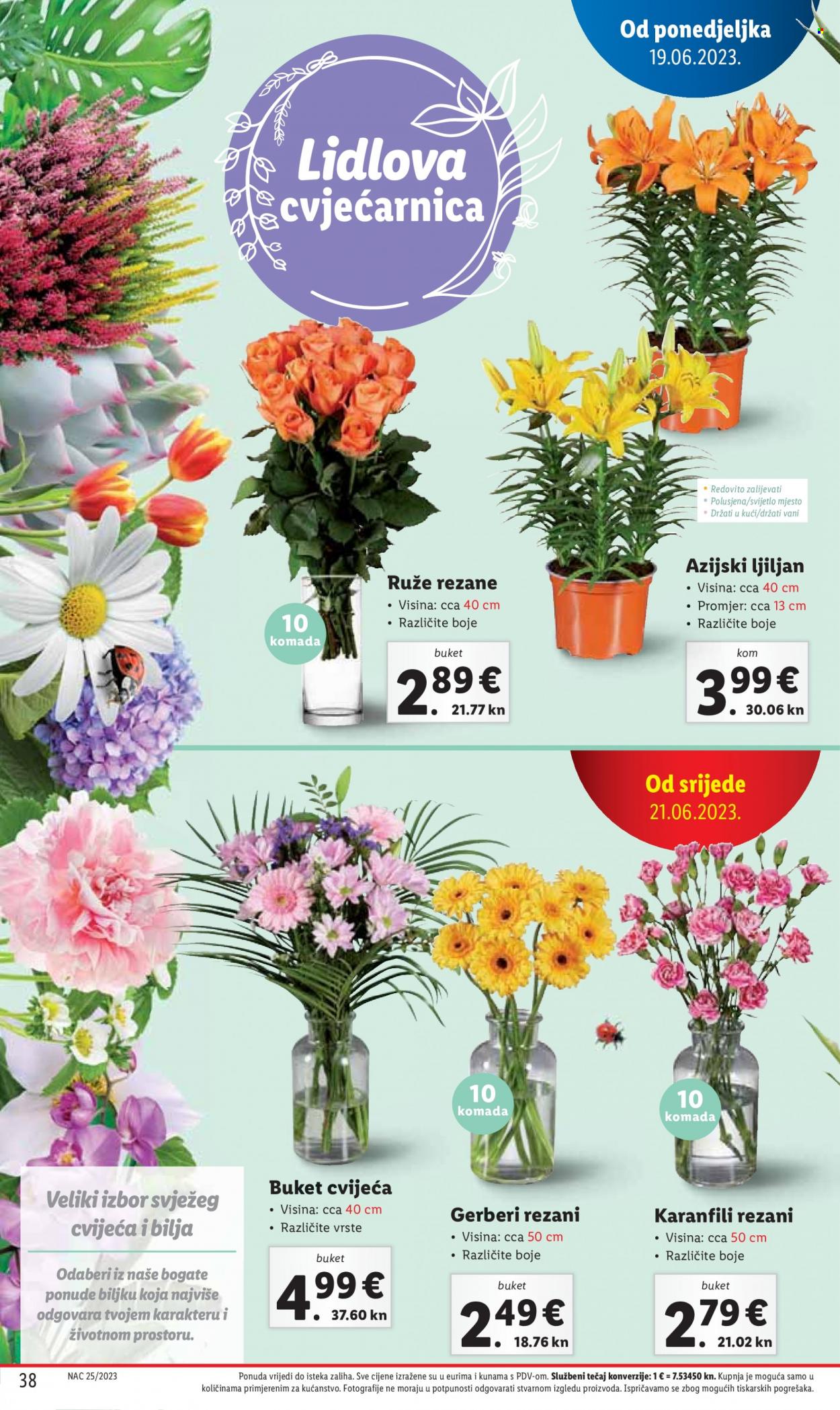 Lidl katalog - 19.06.2023. - 25.06.2023. Stranica 38