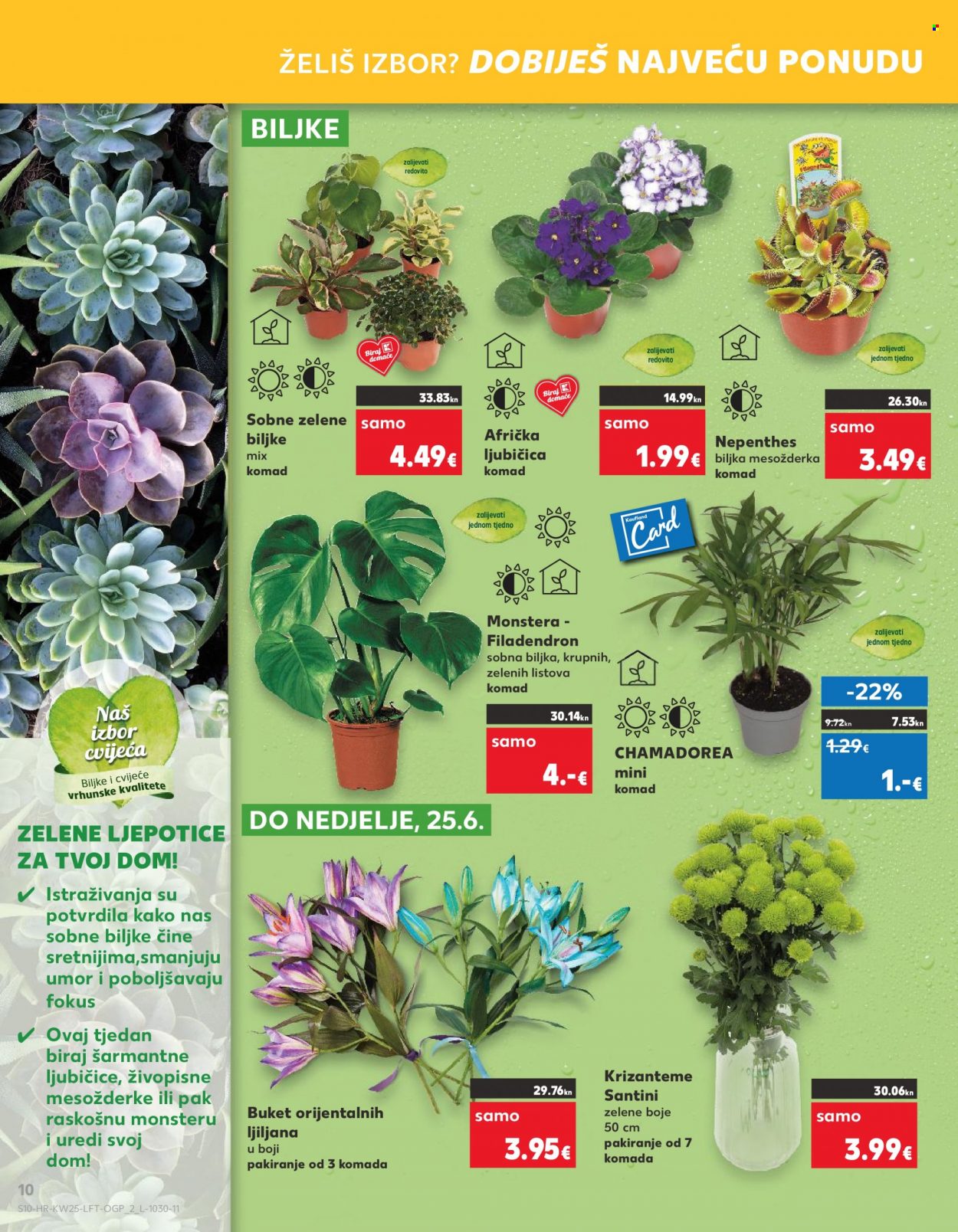 Kaufland katalog - 21.06.2023. - 27.06.2023. Stranica 10