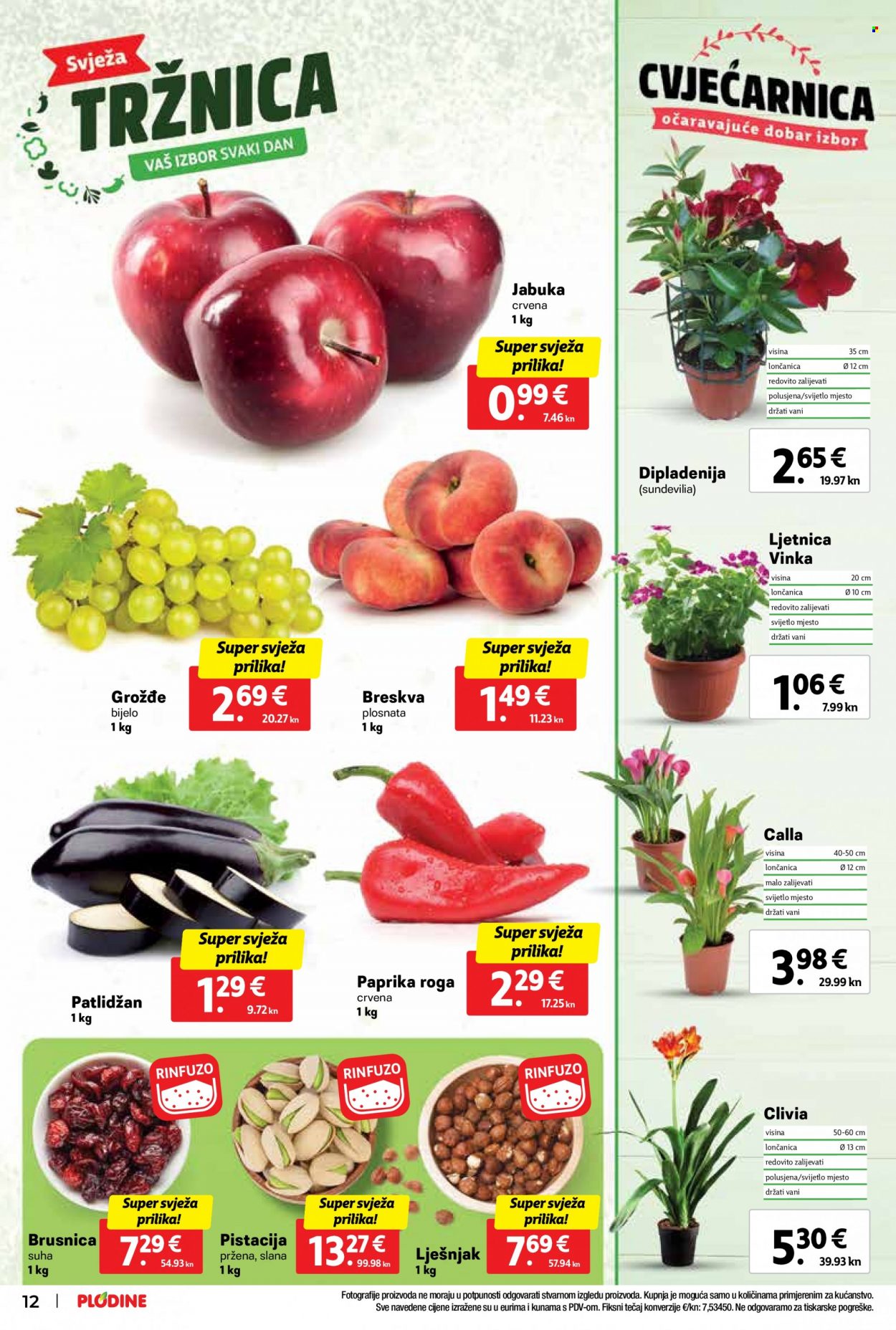 Plodine katalog - 21.06.2023. - 27.06.2023. Stranica 12