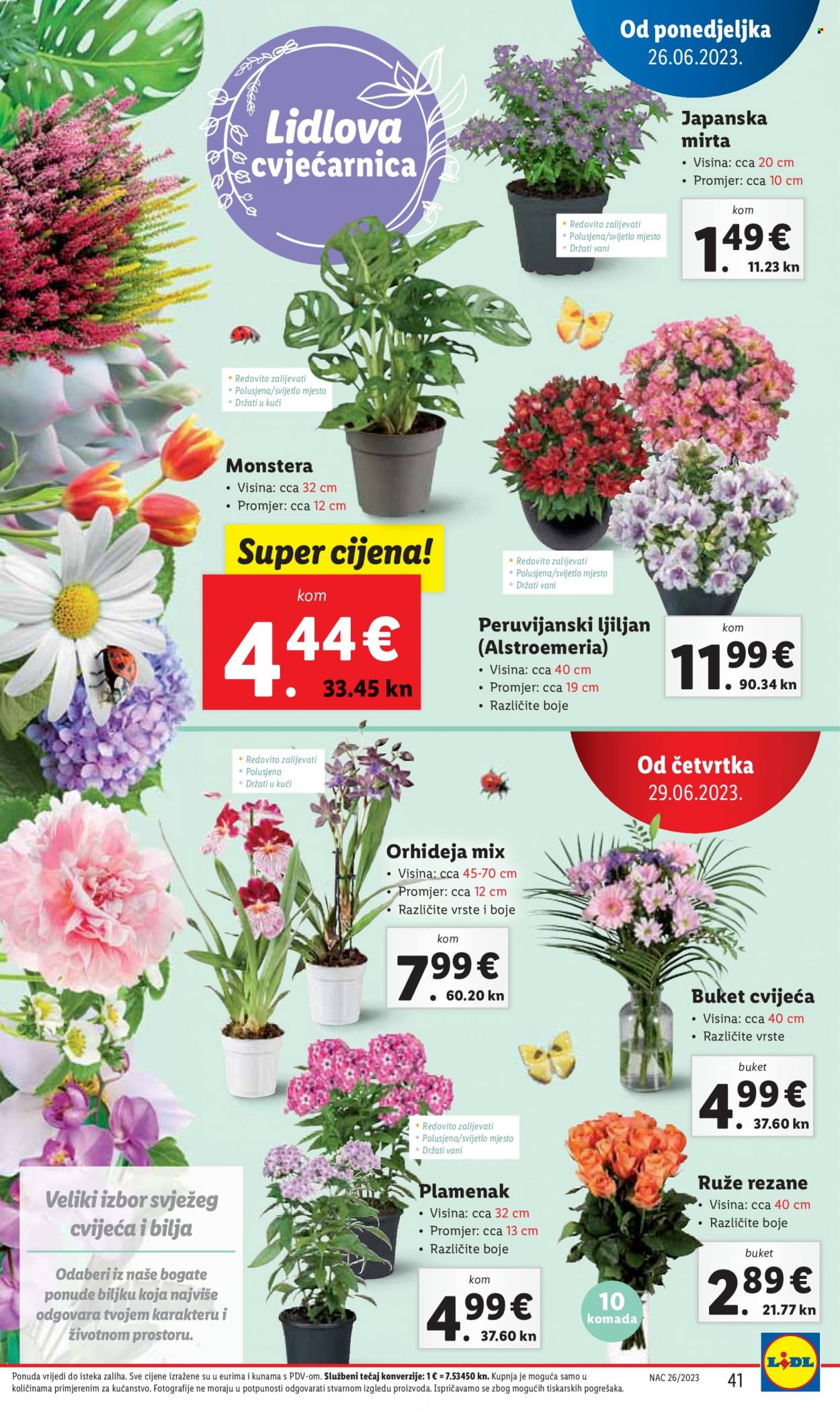 Lidl katalog - 26.06.2023. - 02.07.2023. Stranica 41