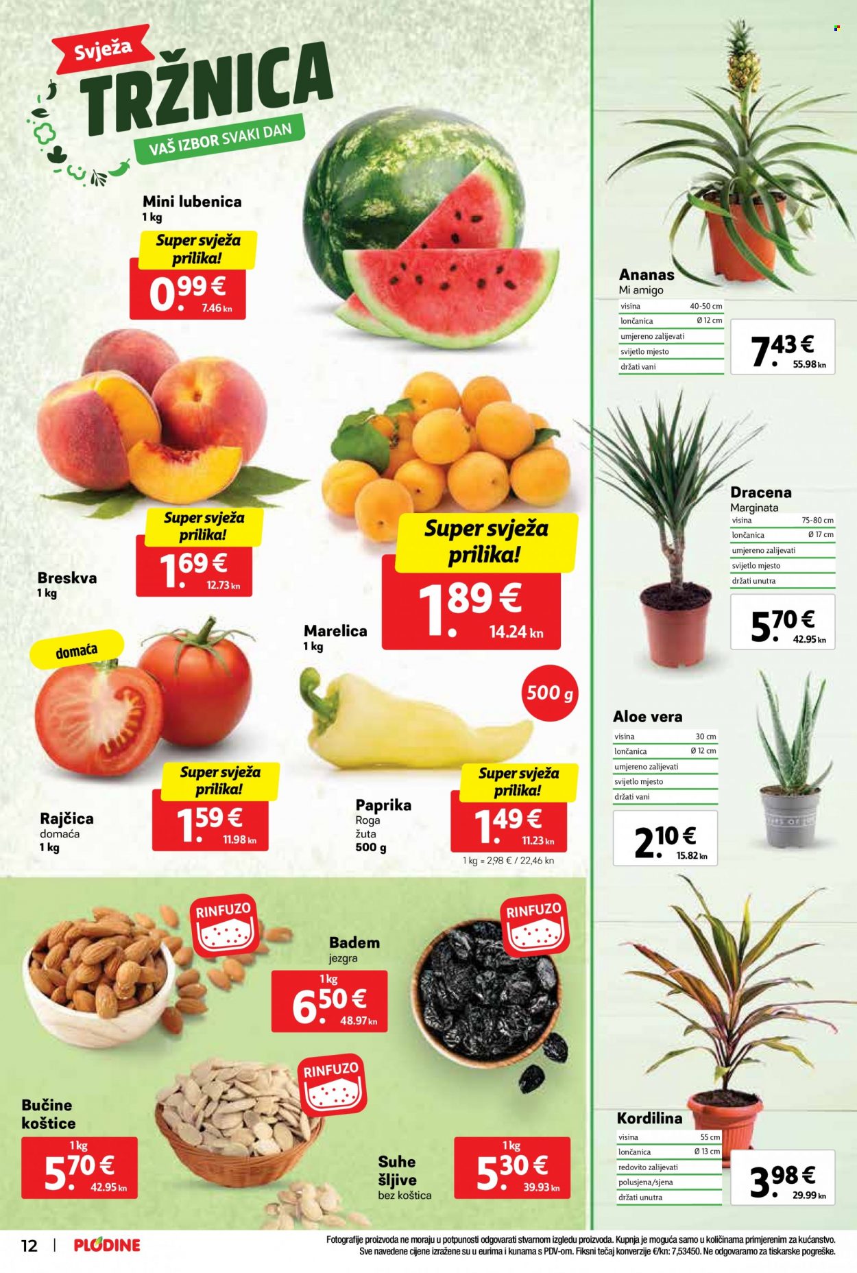 Plodine katalog - 28.06.2023. - 04.07.2023. Stranica 12