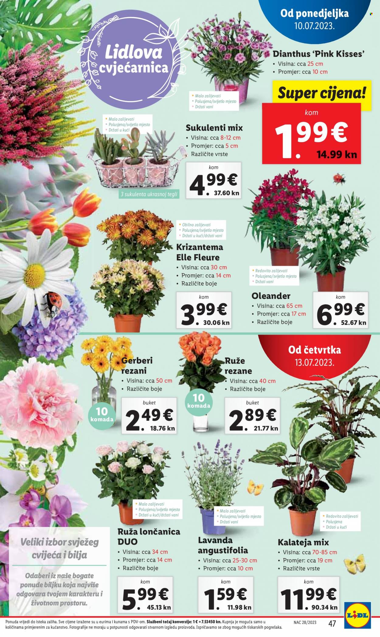 Lidl katalog - 10.07.2023. - 16.07.2023. Stranica 47