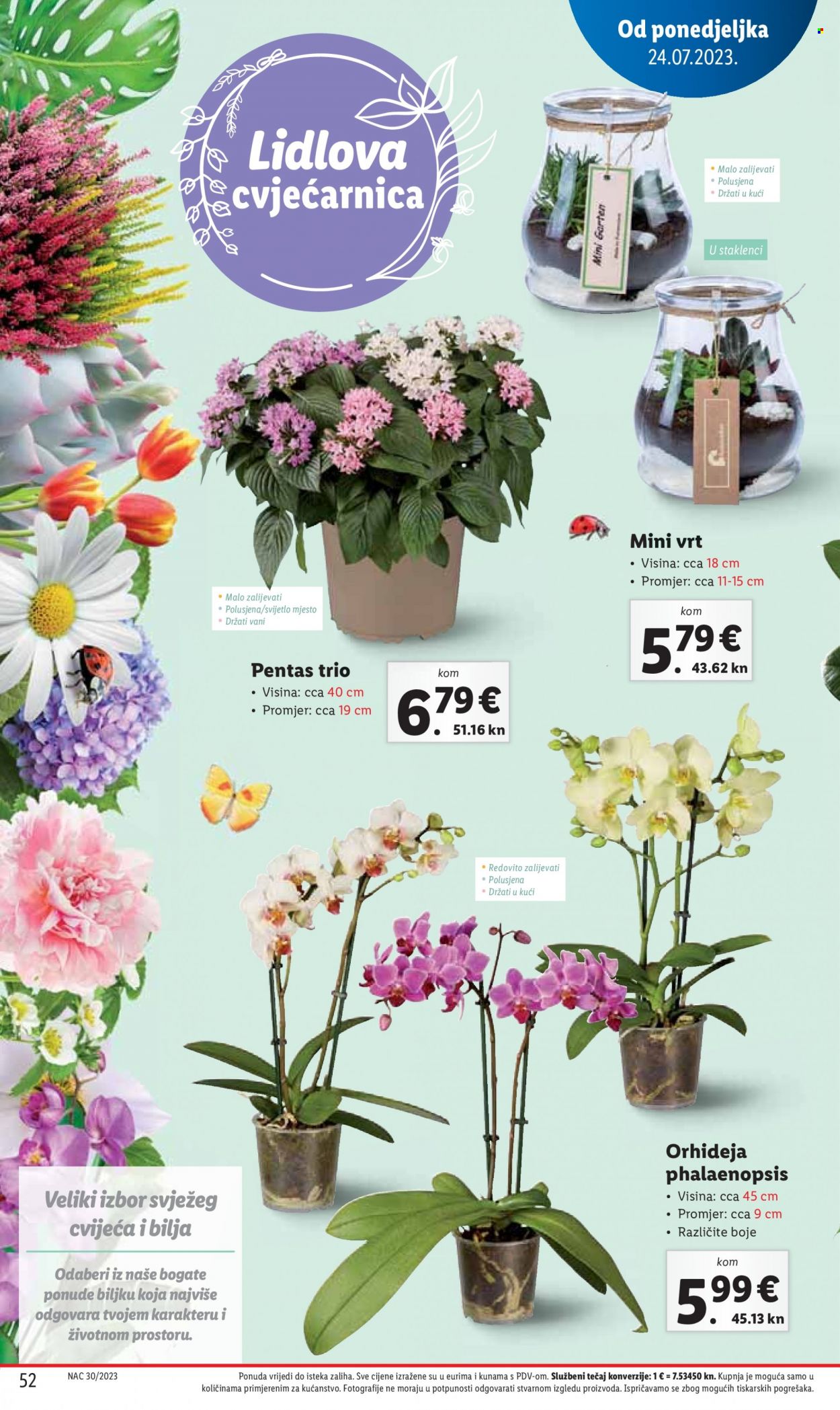 Lidl katalog - 24.07.2023. - 30.07.2023. Stranica 52