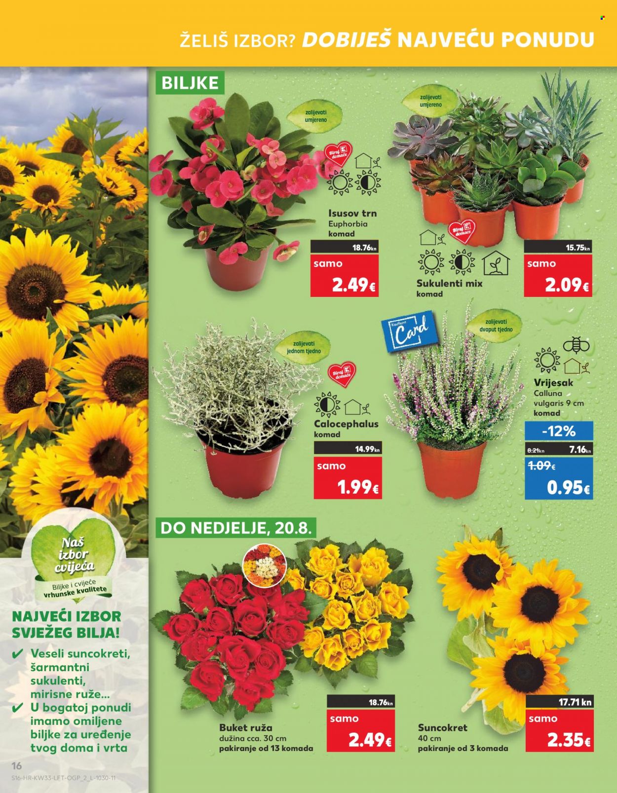 Kaufland katalog - 17.08.2023. - 22.08.2023. Stranica 16