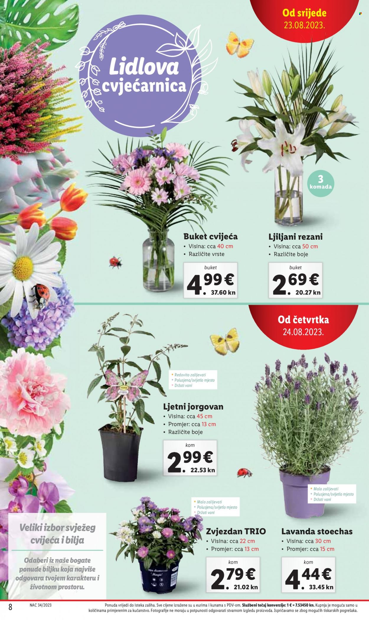 Lidl katalog - 24.08.2023. - 27.08.2023. Stranica 8