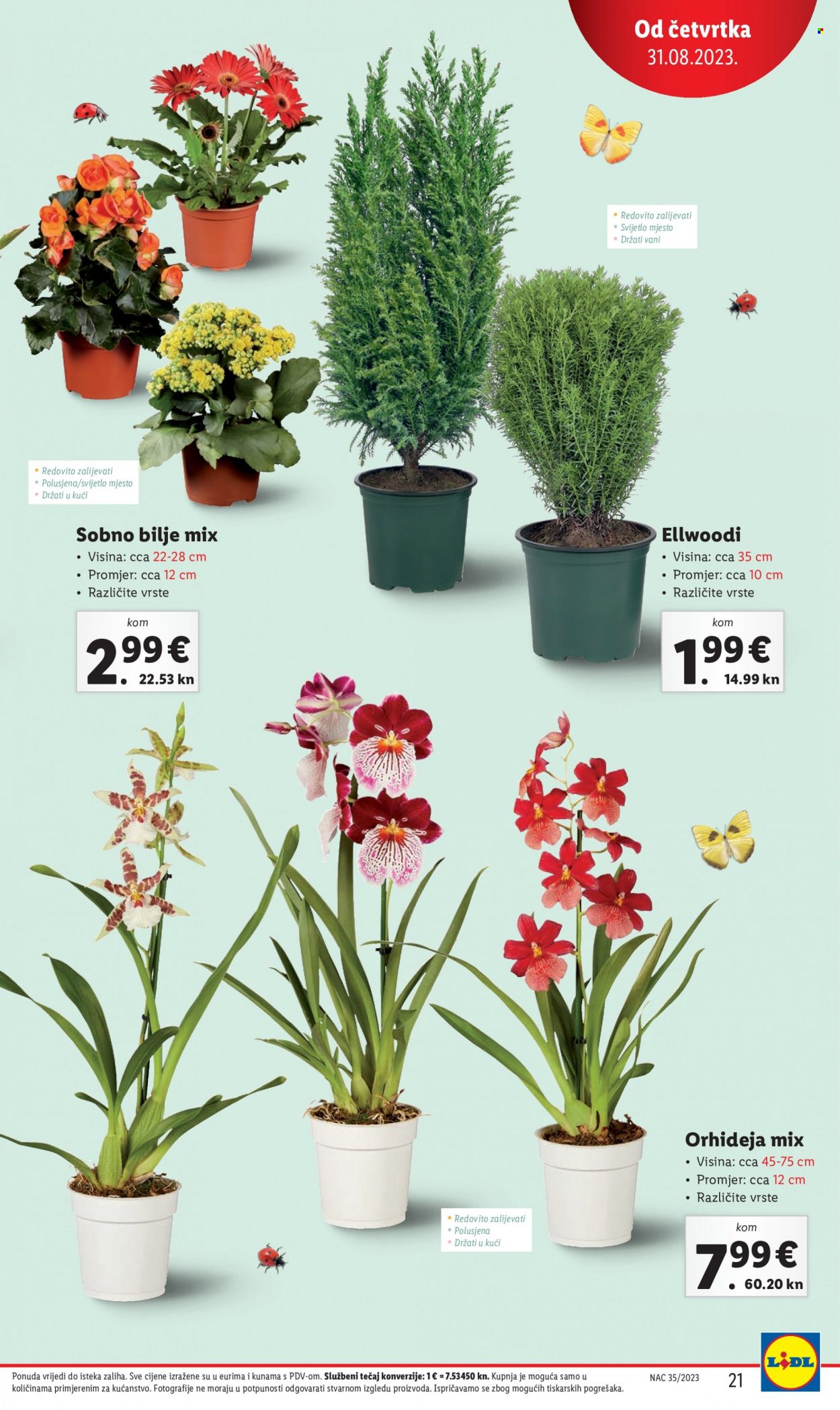 Lidl katalog - 31.08.2023. - 03.09.2023. Stranica 21