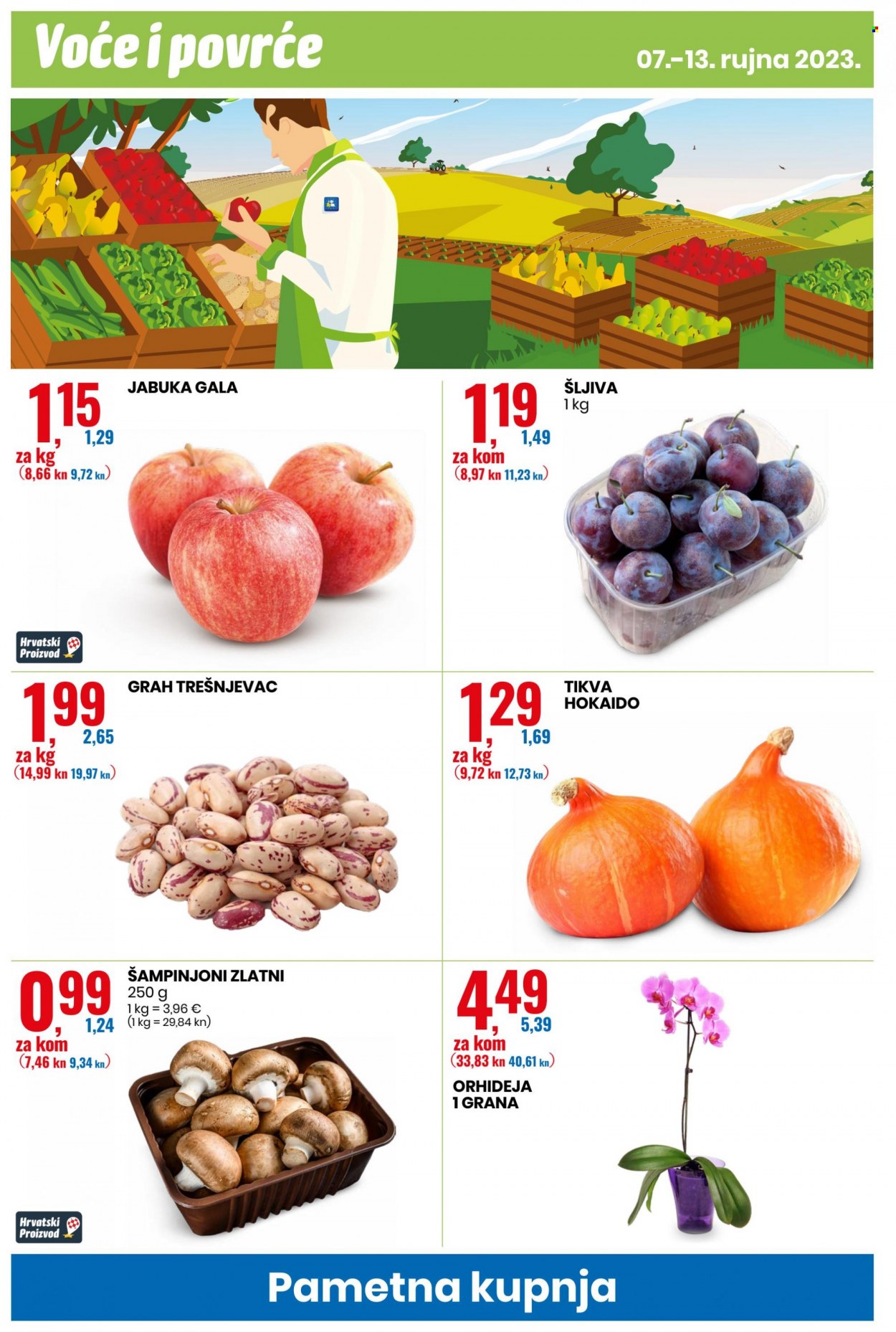Eurospin katalog - 07.09.2023. - 13.09.2023. Stranica 10