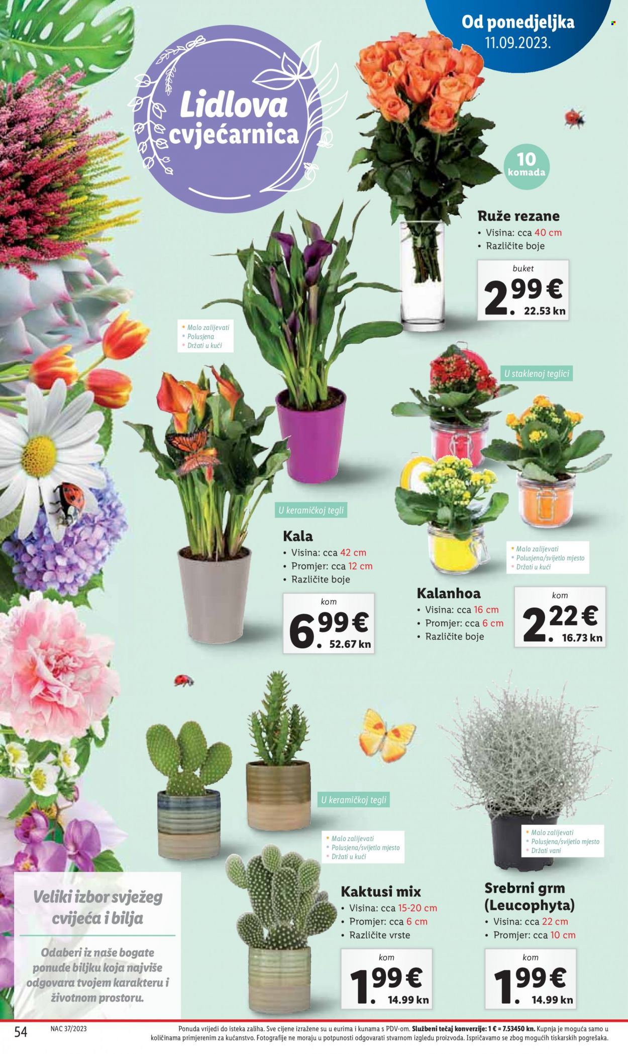 Lidl katalog - 11.09.2023. - 17.09.2023. Stranica 54