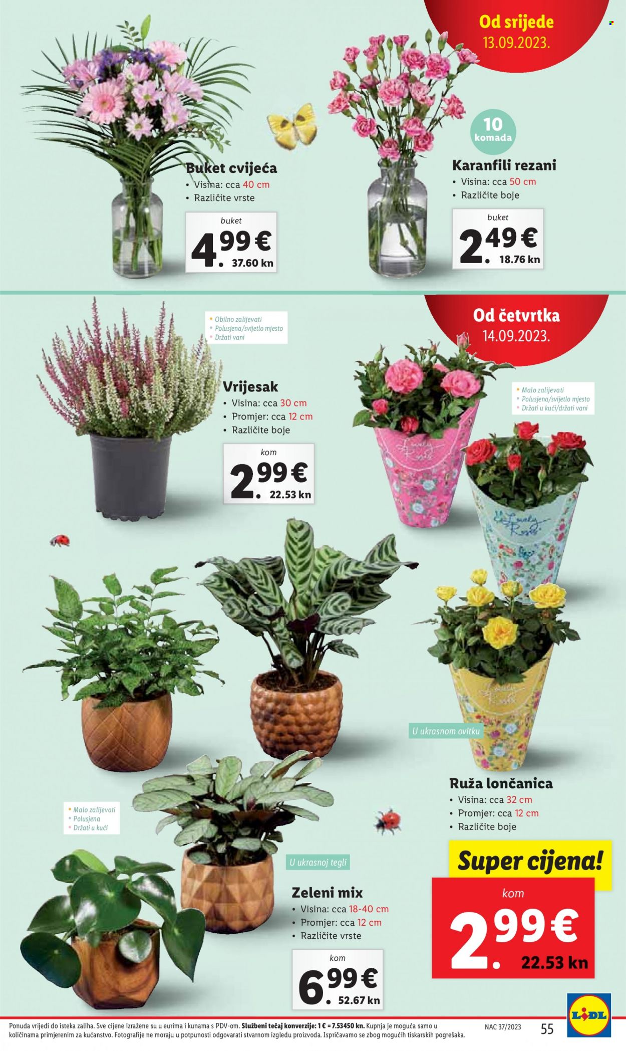 Lidl katalog - 11.09.2023. - 17.09.2023. Stranica 55