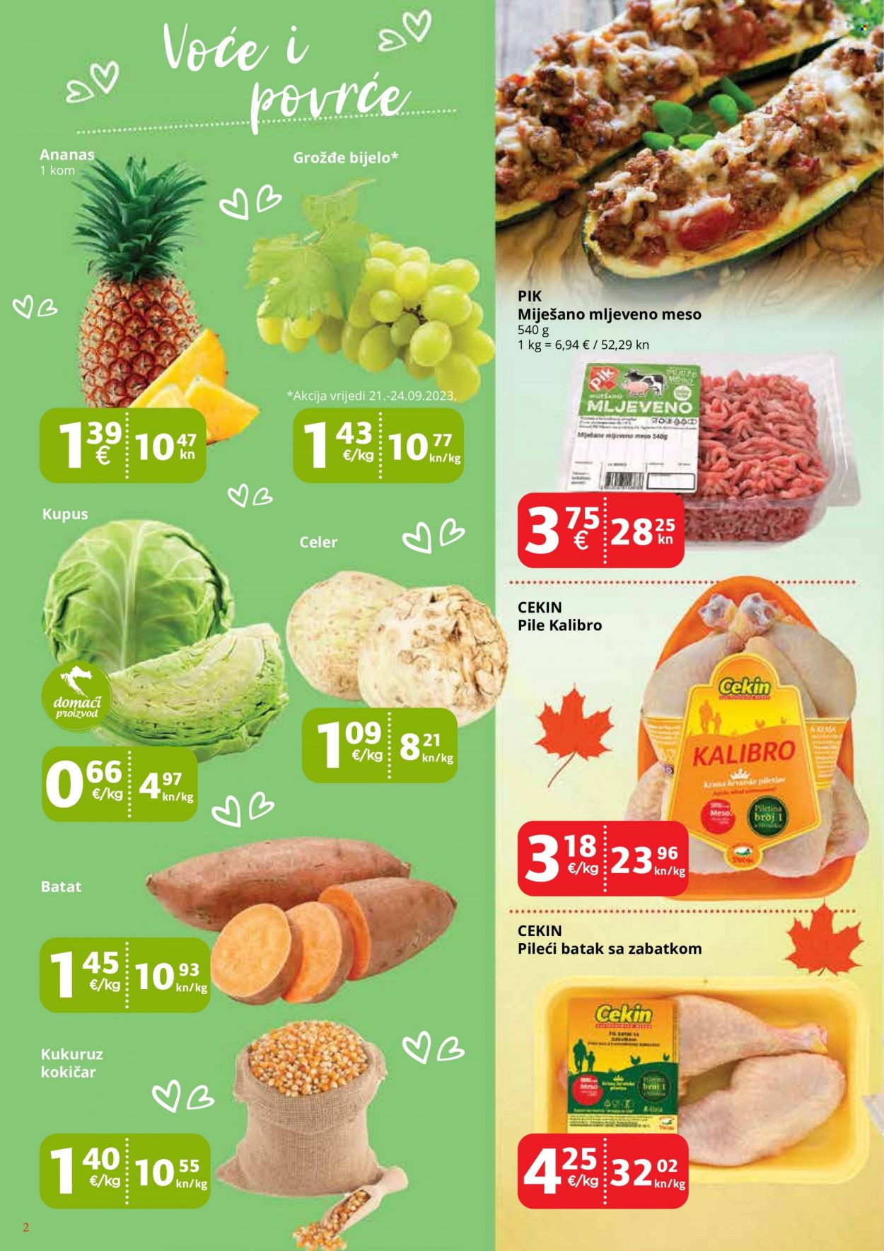 Victa katalog - 21.09.2023. - 27.09.2023. Stranica 2