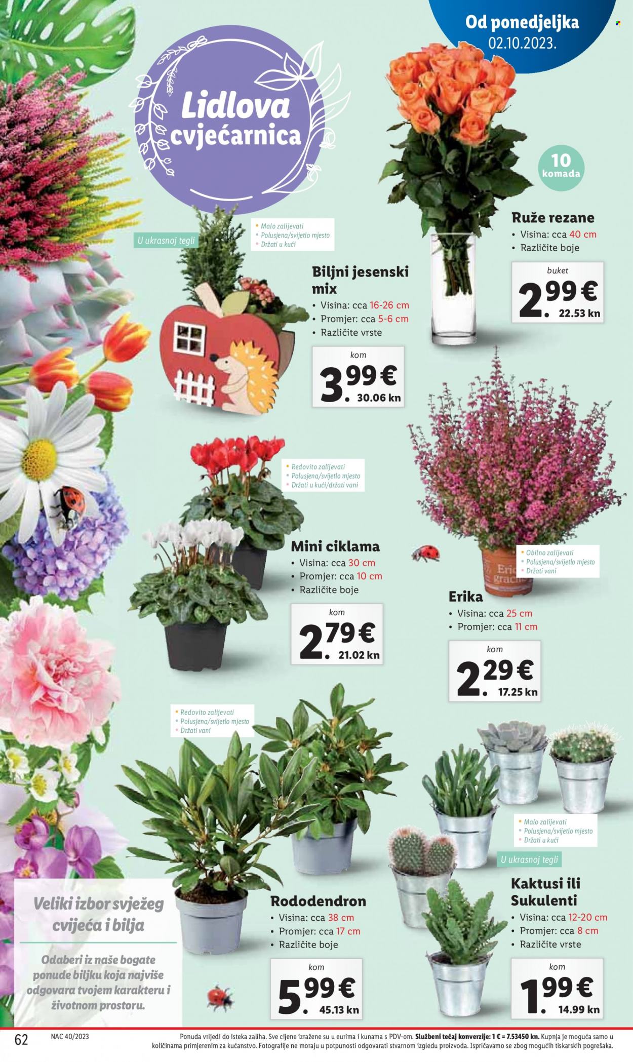 Lidl katalog - 02.10.2023. - 08.10.2023. Stranica 62