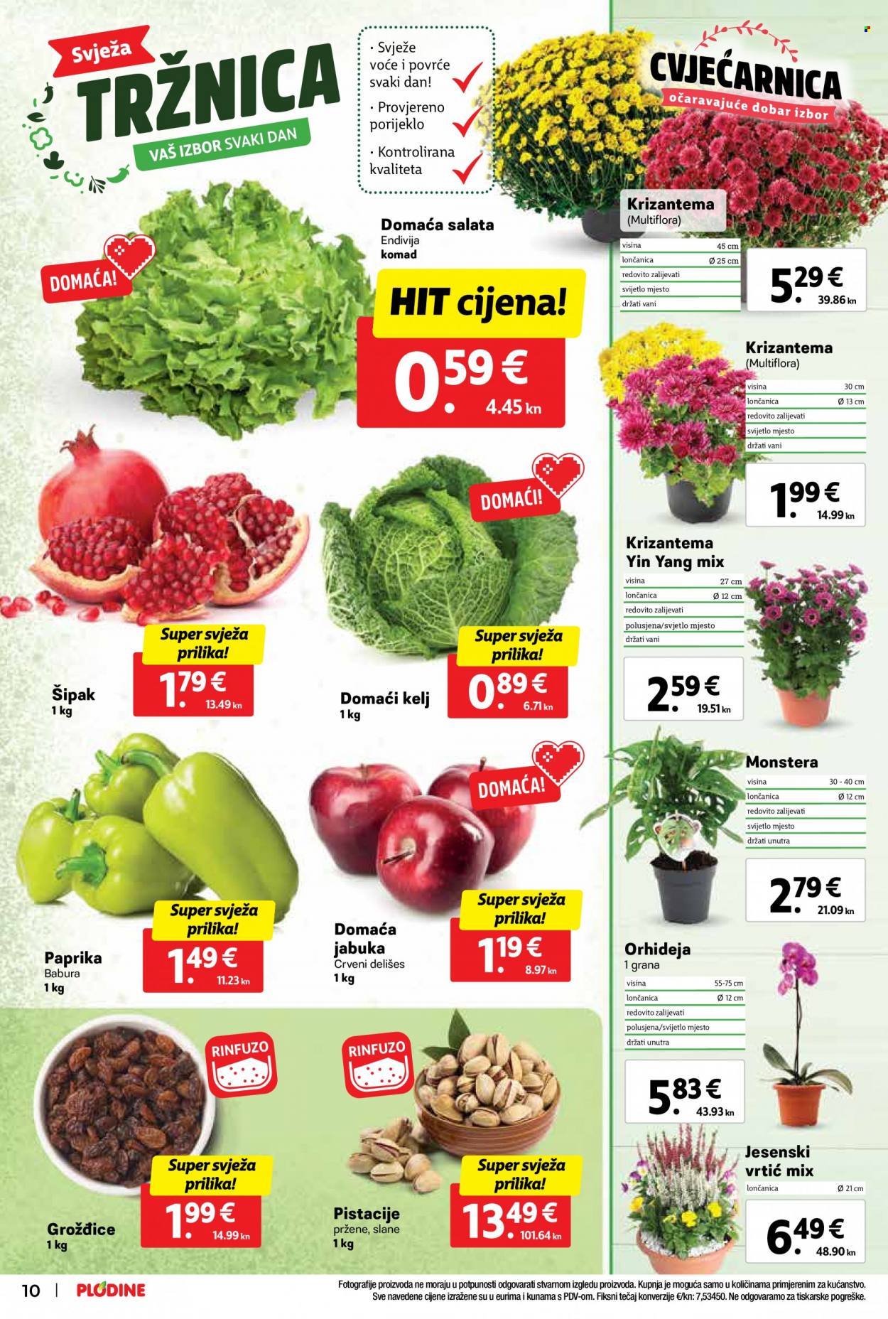 Plodine katalog - 18.10.2023. - 24.10.2023. Stranica 10