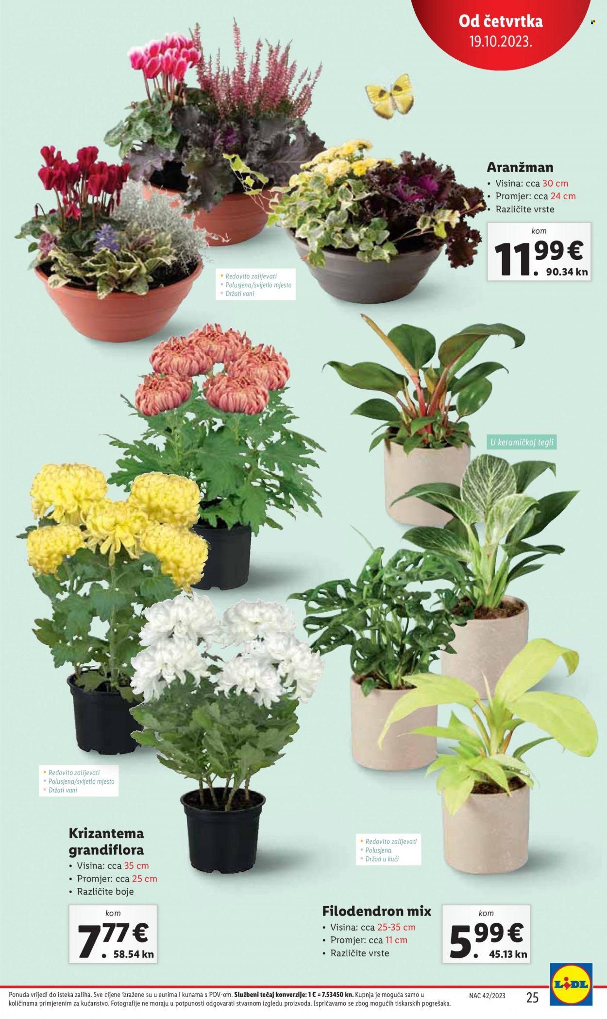 Lidl katalog - 19.10.2023. - 22.10.2023. Stranica 25