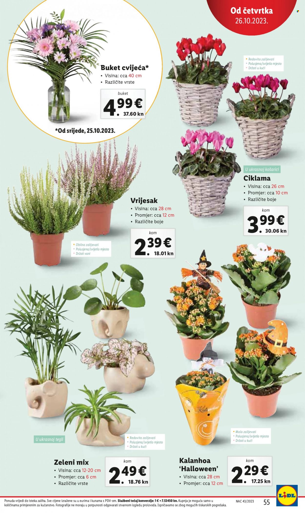 Lidl katalog - 23.10.2023. - 29.10.2023. Stranica 55