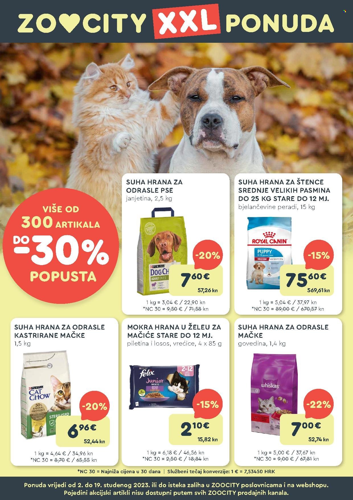 Zoo City katalog - 02.11.2023. - 19.11.2023. Stranica 1