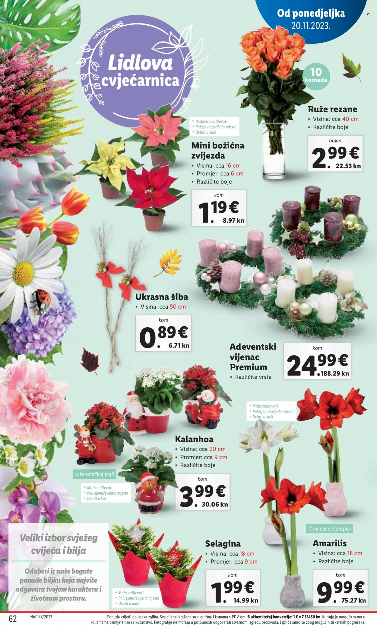 Lidl katalog - 20.11.2023. - 26.11.2023. Stranica 62