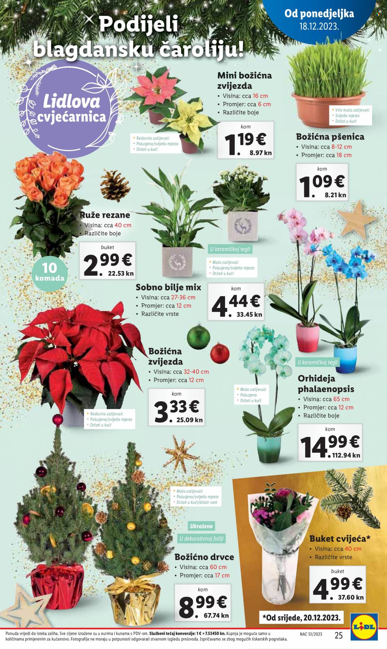 Lidl katalog - 21.12.2023. - 23.12.2023. Stranica 25
