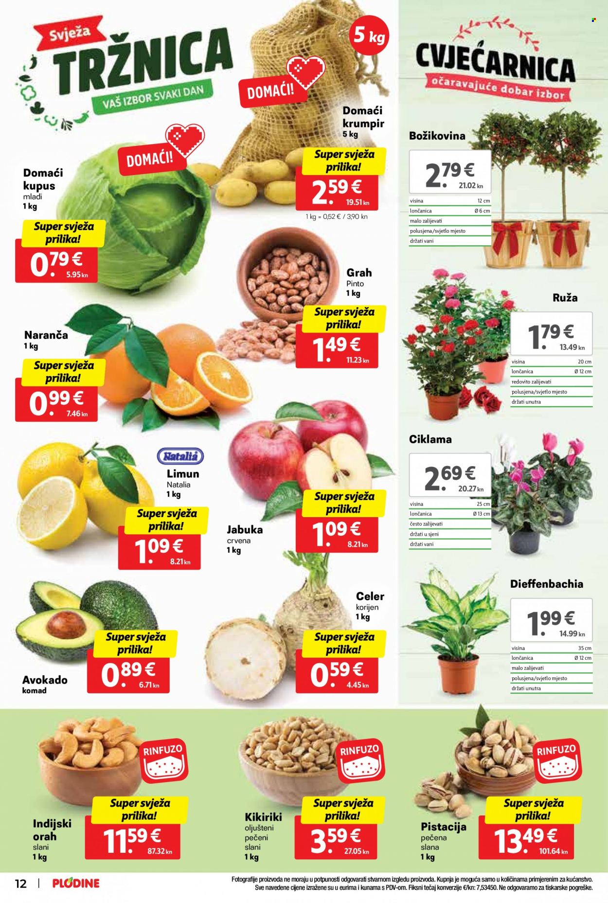 Plodine katalog - 27.12.2023. - 31.12.2023. Stranica 12