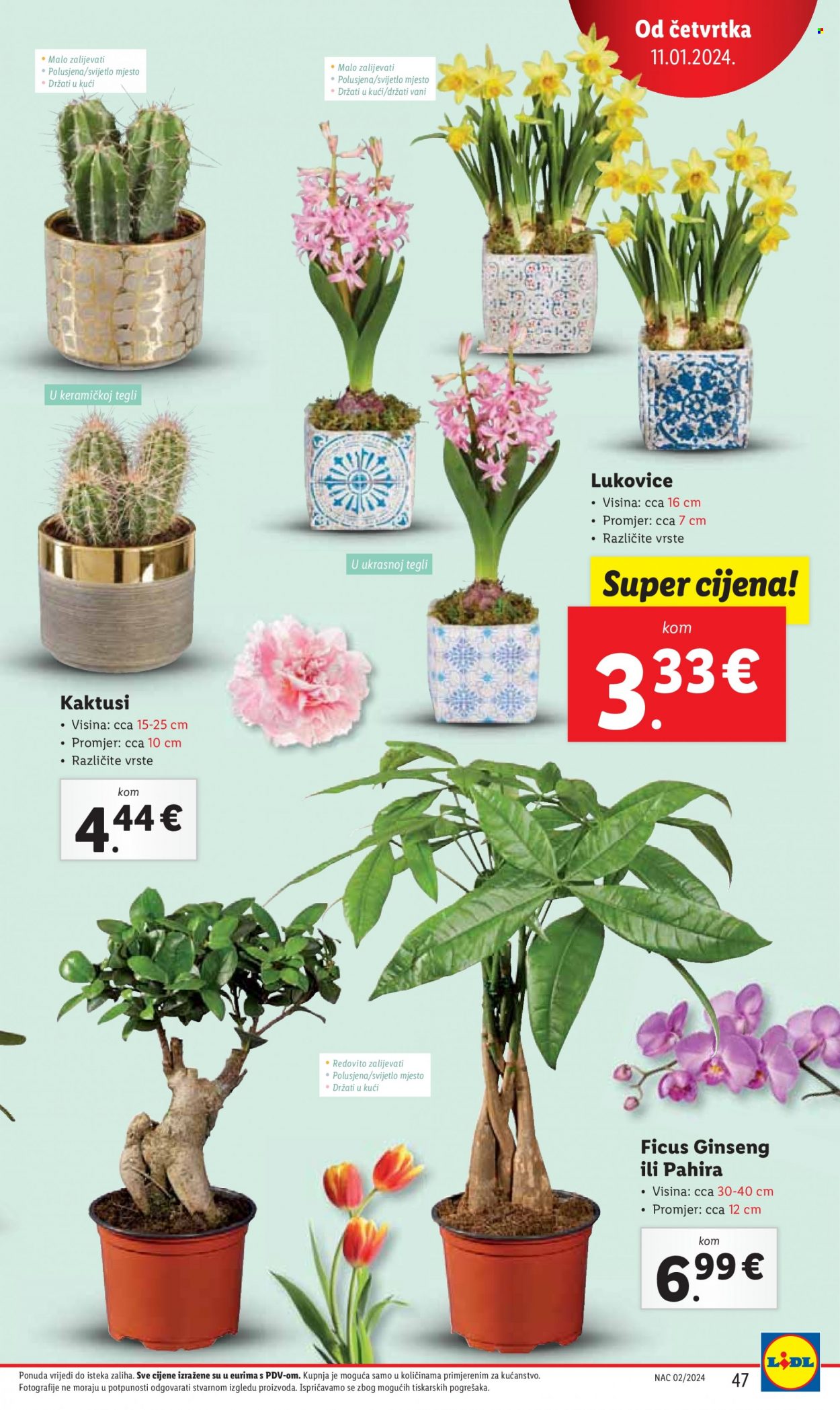 Lidl katalog - 08.01.2024. - 14.01.2024. Stranica 47