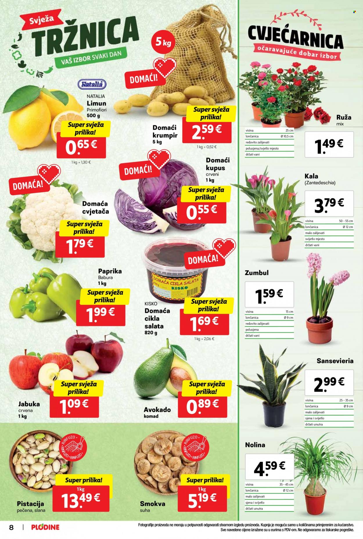 Plodine katalog - 17.01.2024. - 23.01.2024. Stranica 8