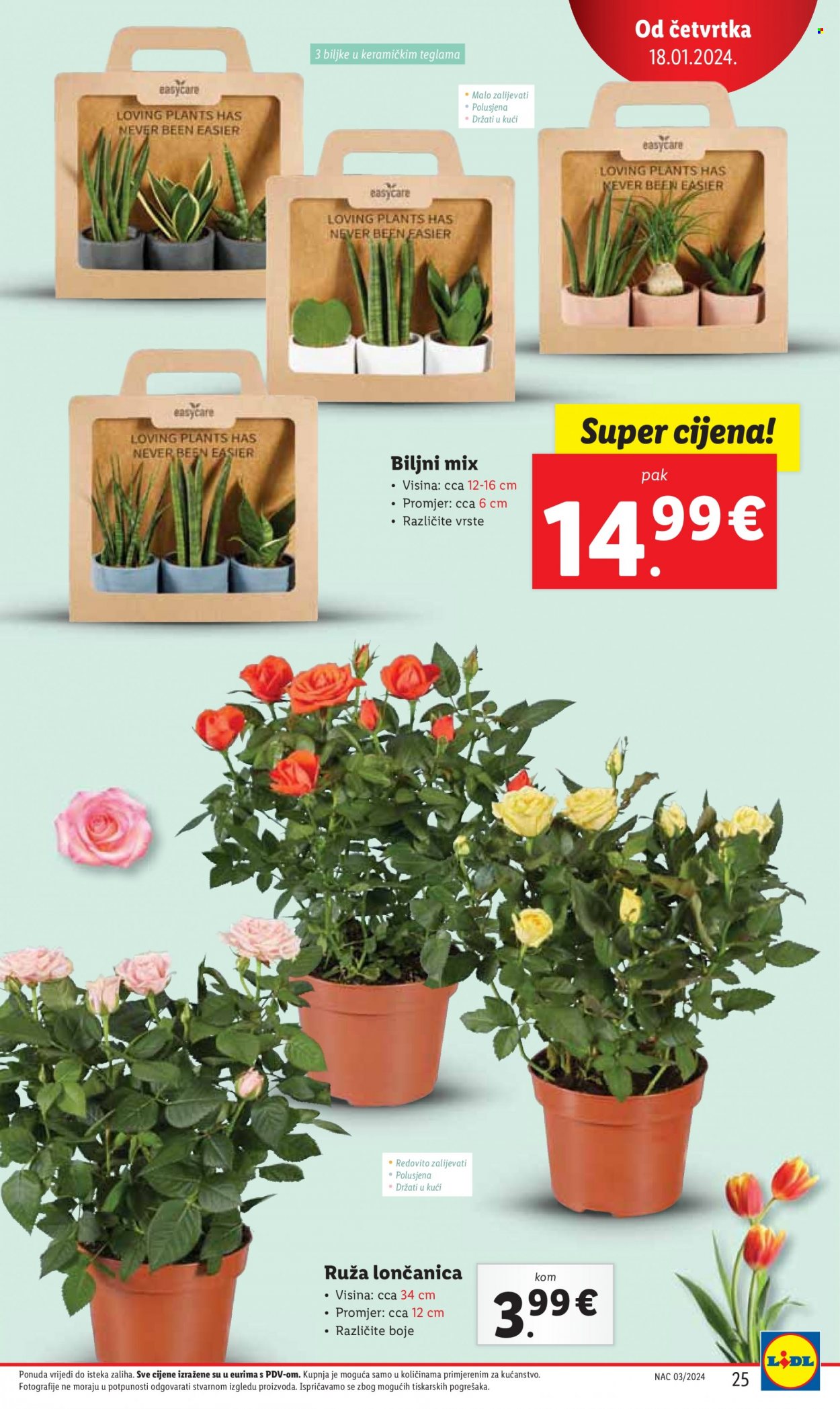 Lidl katalog - 18.01.2024. - 20.01.2024. Stranica 25
