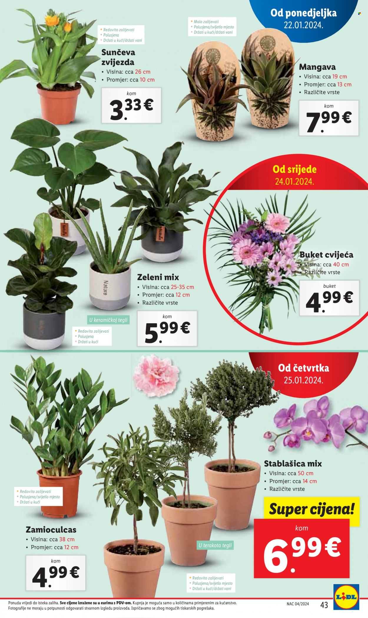 Lidl katalog - 22.01.2024. - 27.01.2024. Stranica 43
