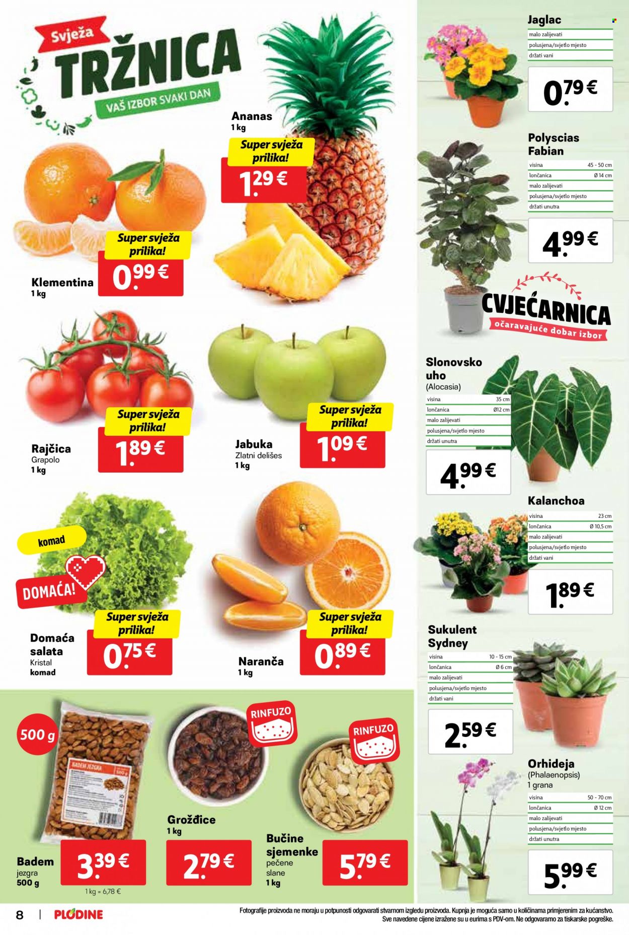Plodine katalog - 24.01.2024. - 30.01.2024. Stranica 8