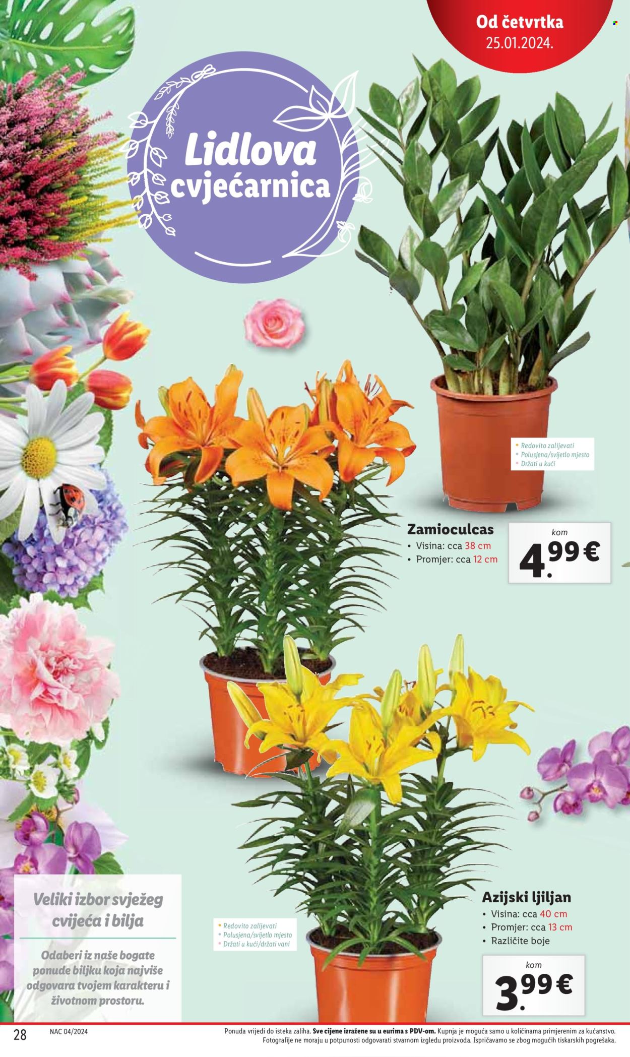 Lidl katalog - 25.01.2024. - 27.01.2024. Stranica 28