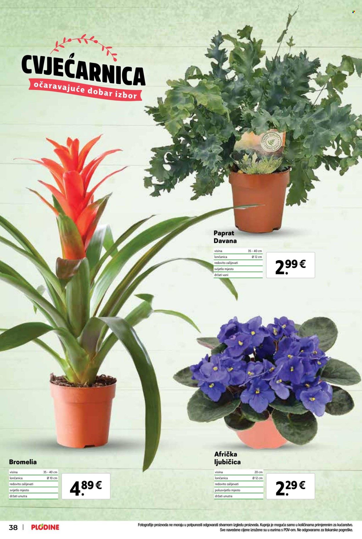 Plodine katalog - 31.01.2024. - 06.02.2024. Stranica 38