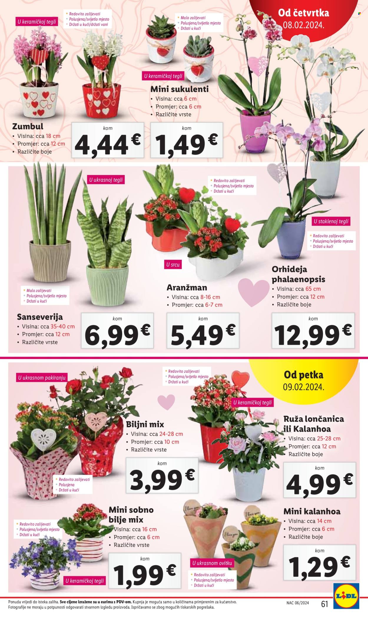 Lidl katalog - 05.02.2024. - 10.02.2024. Stranica 61