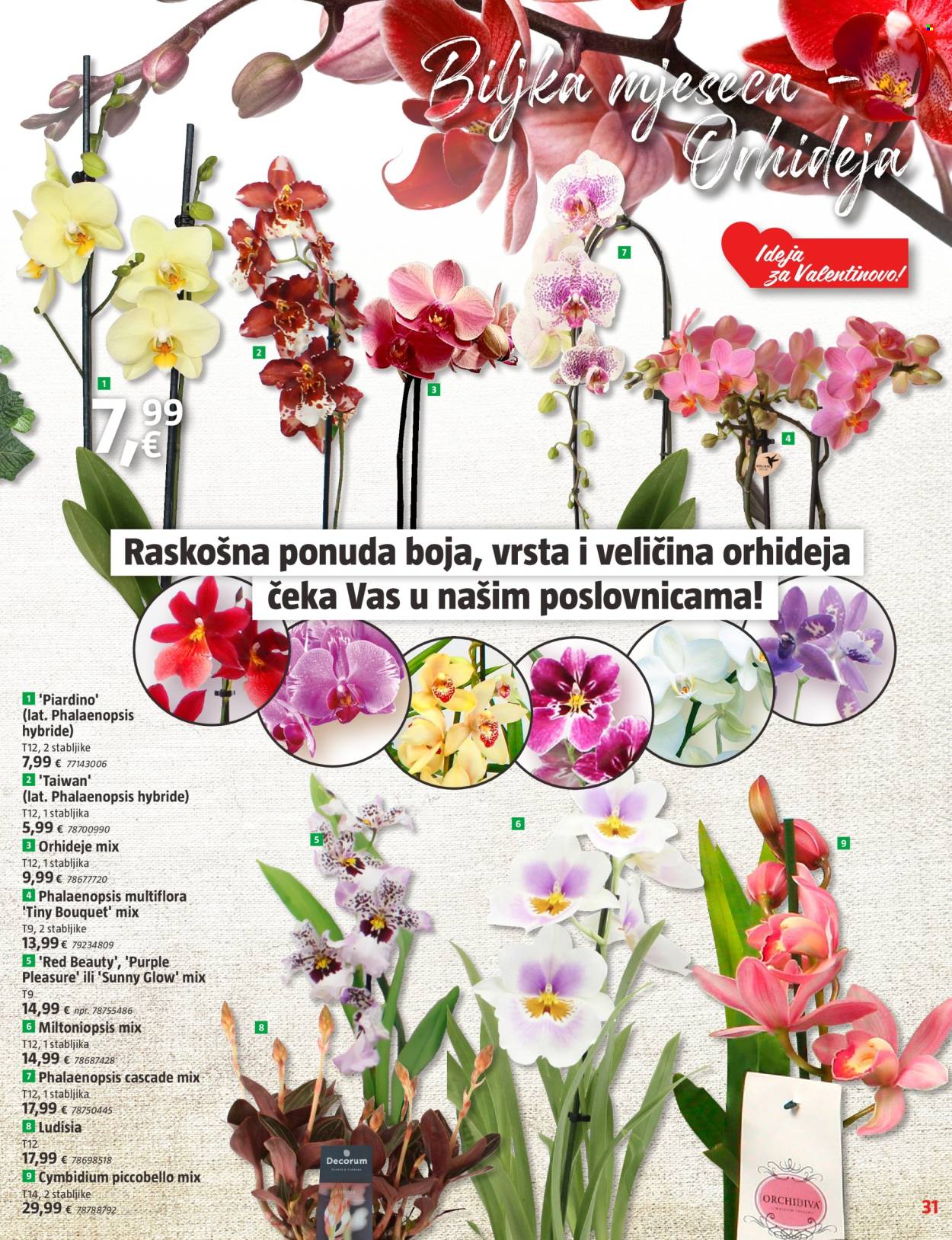 Bauhaus katalog - 01.02.2024. - 06.03.2024. Stranica 31