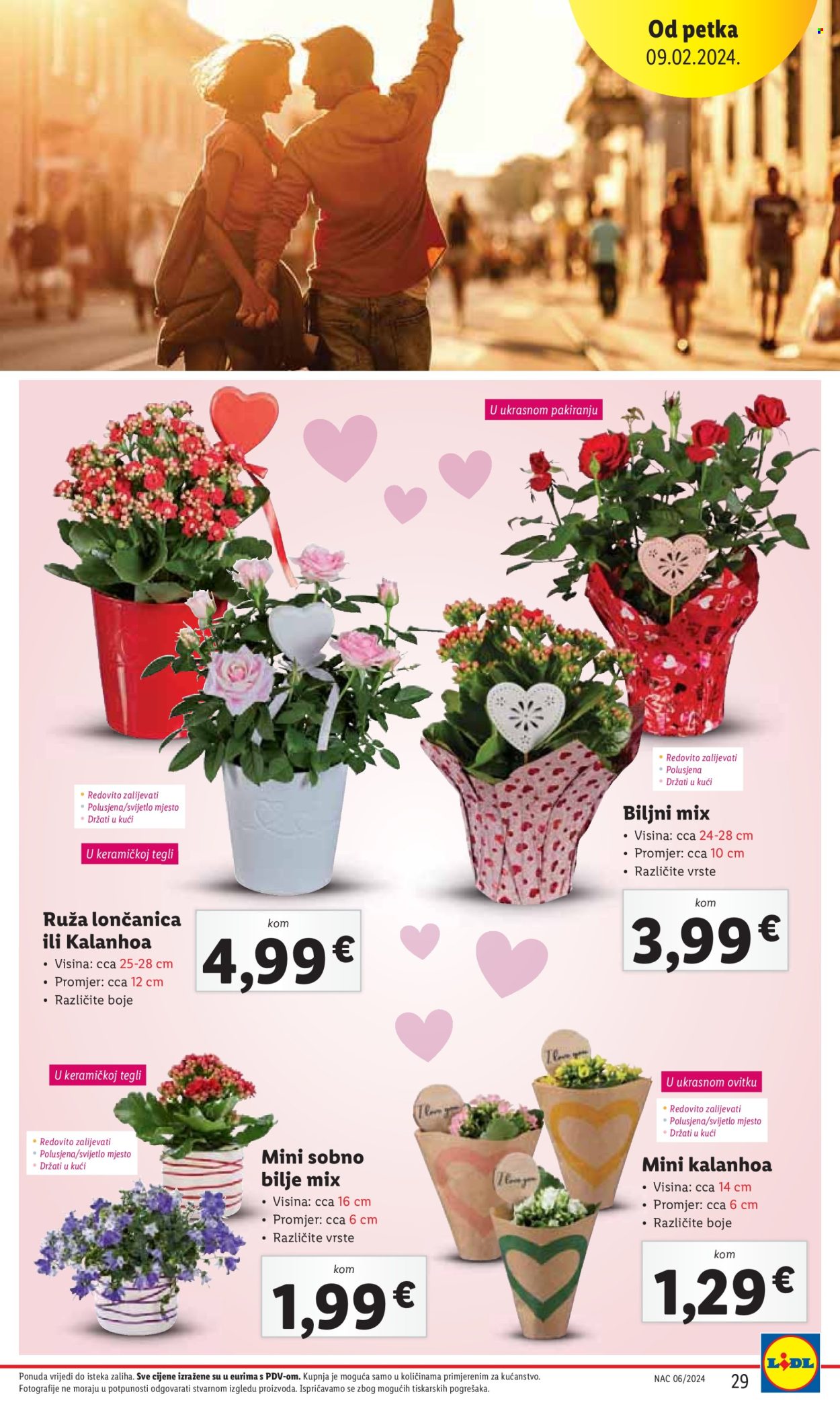 Lidl katalog - 08.02.2024. - 10.02.2024. Stranica 29