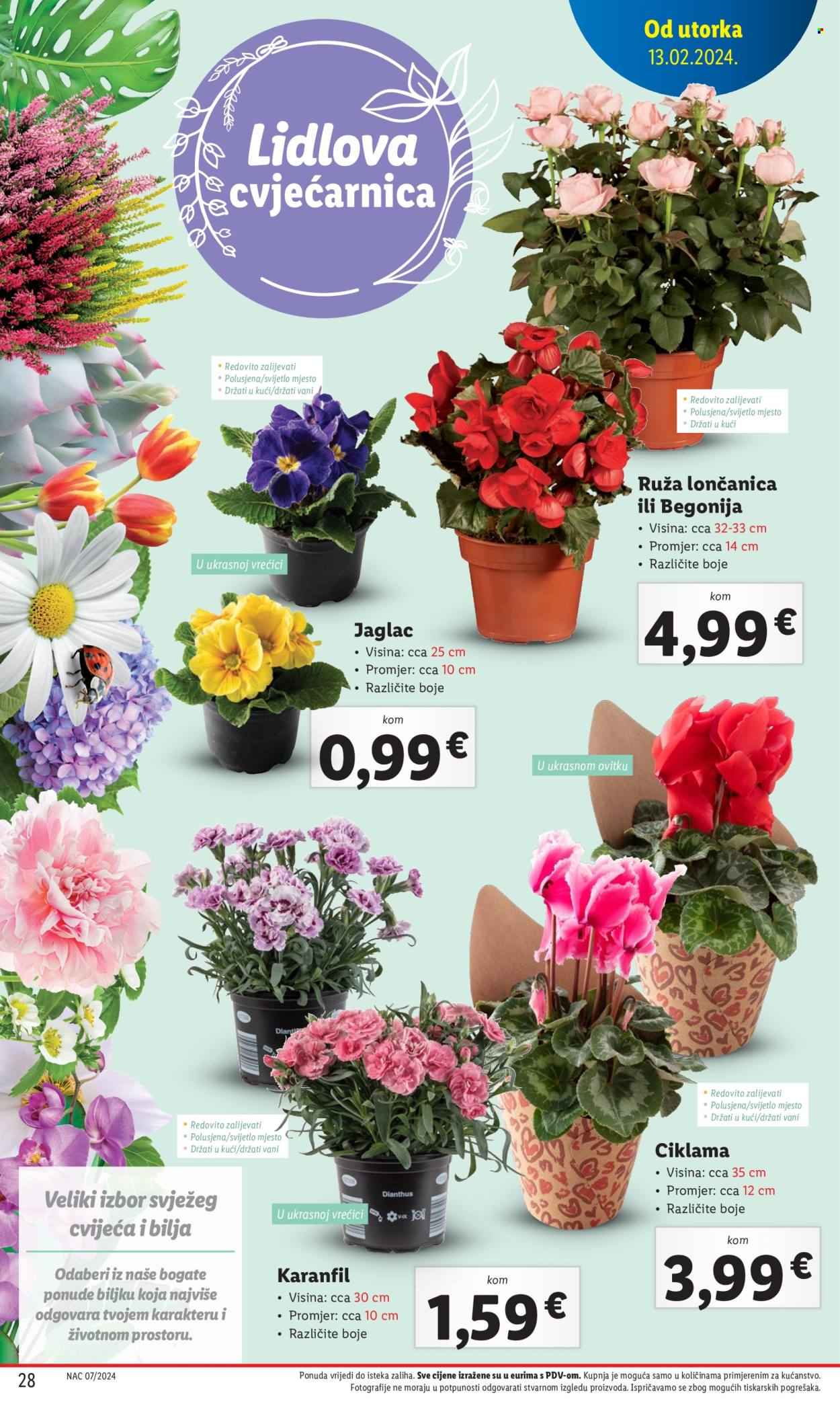 Lidl katalog - 15.02.2024. - 17.02.2024. Stranica 28