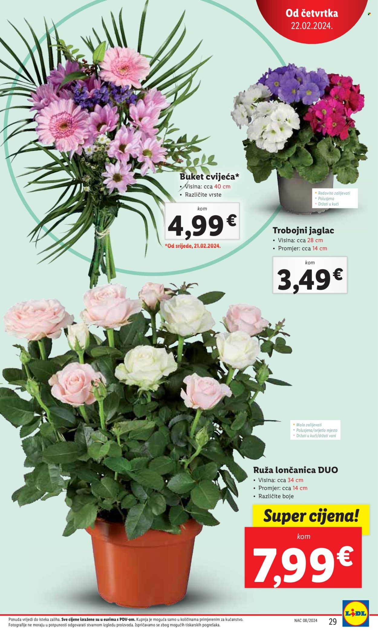Lidl katalog - 22.02.2024. - 24.02.2024. Stranica 29