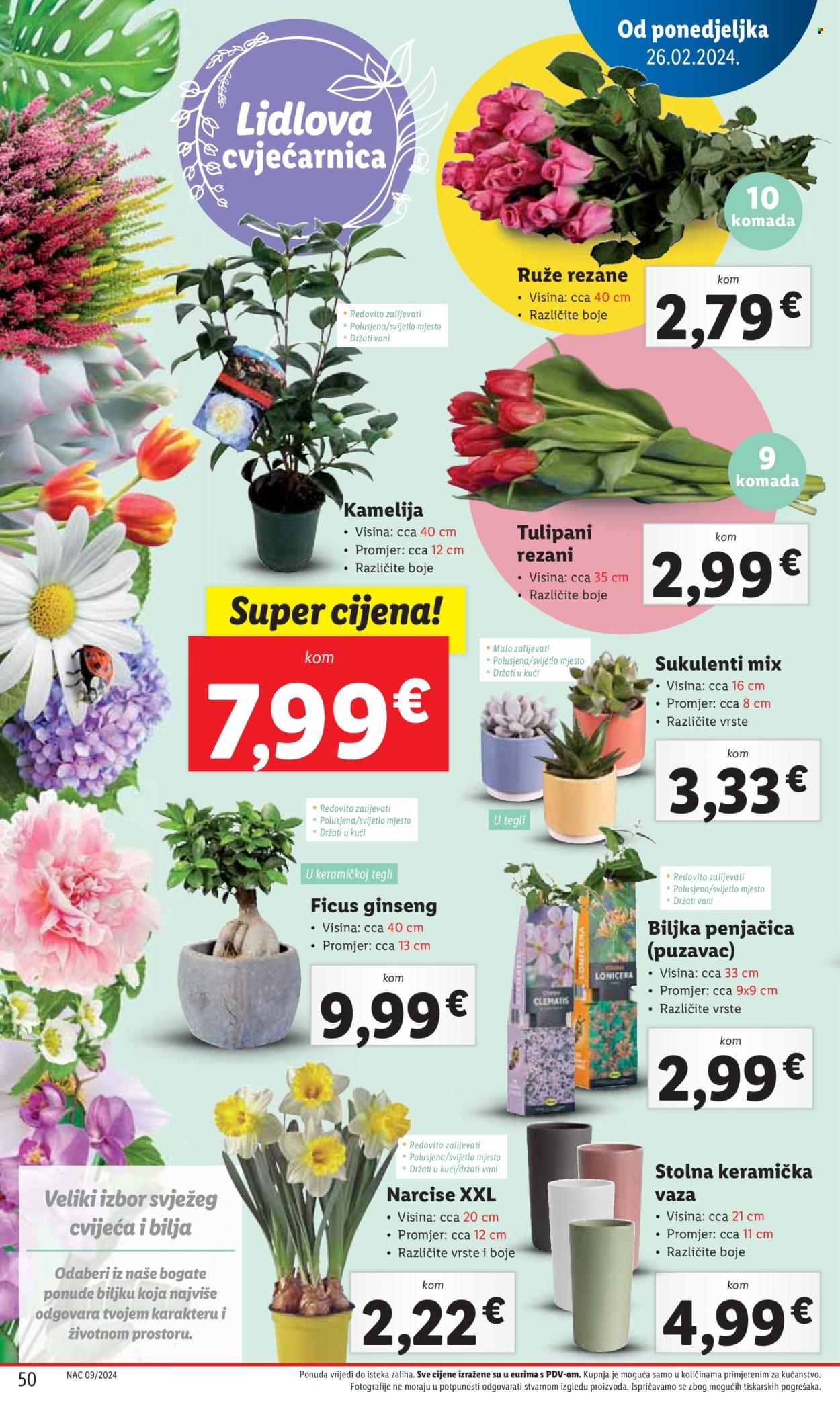 Lidl katalog - 26.02.2024. - 03.03.2024. Stranica 50