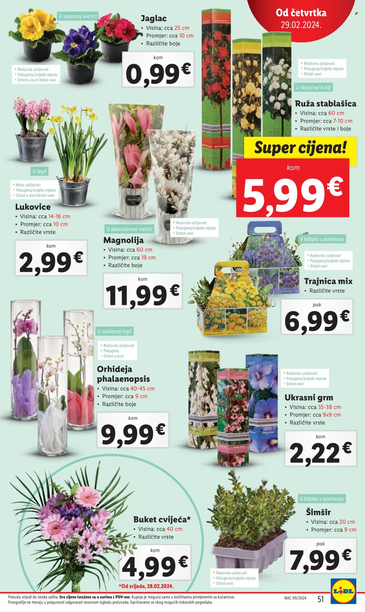 Lidl katalog - 26.02.2024. - 03.03.2024. Stranica 51