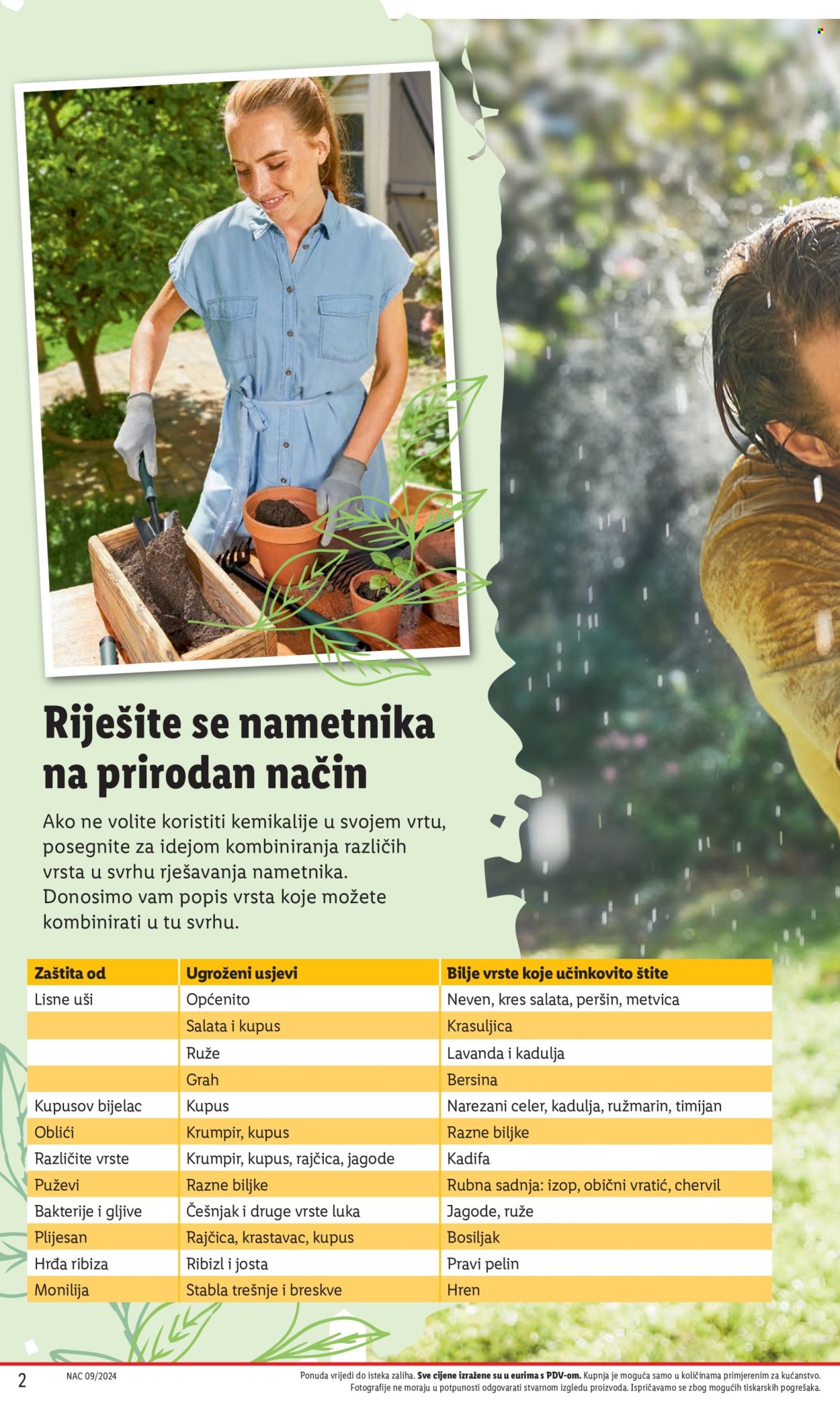 Lidl katalog Stranica 2