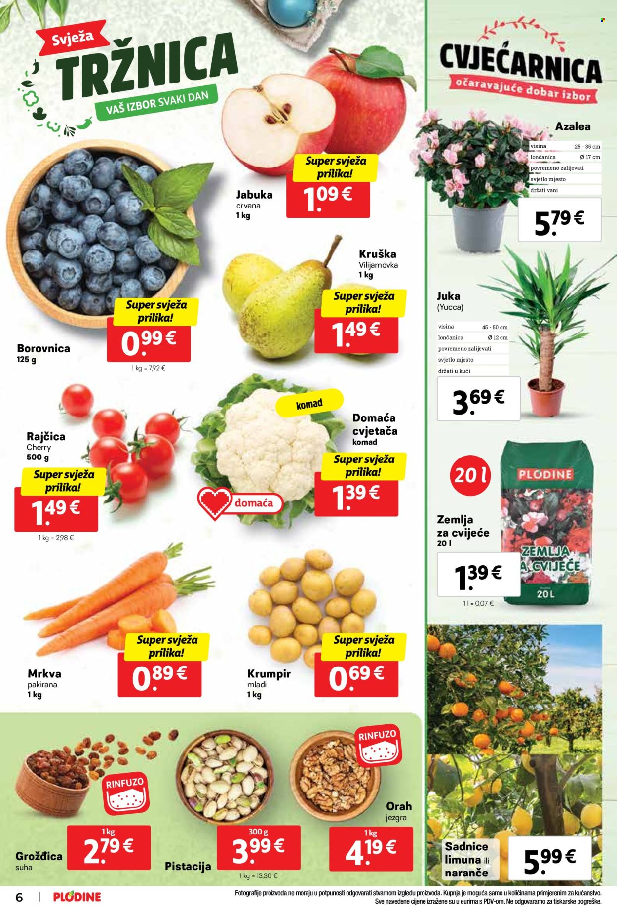 Plodine katalog - 28.02.2024. - 05.03.2024. Stranica 6