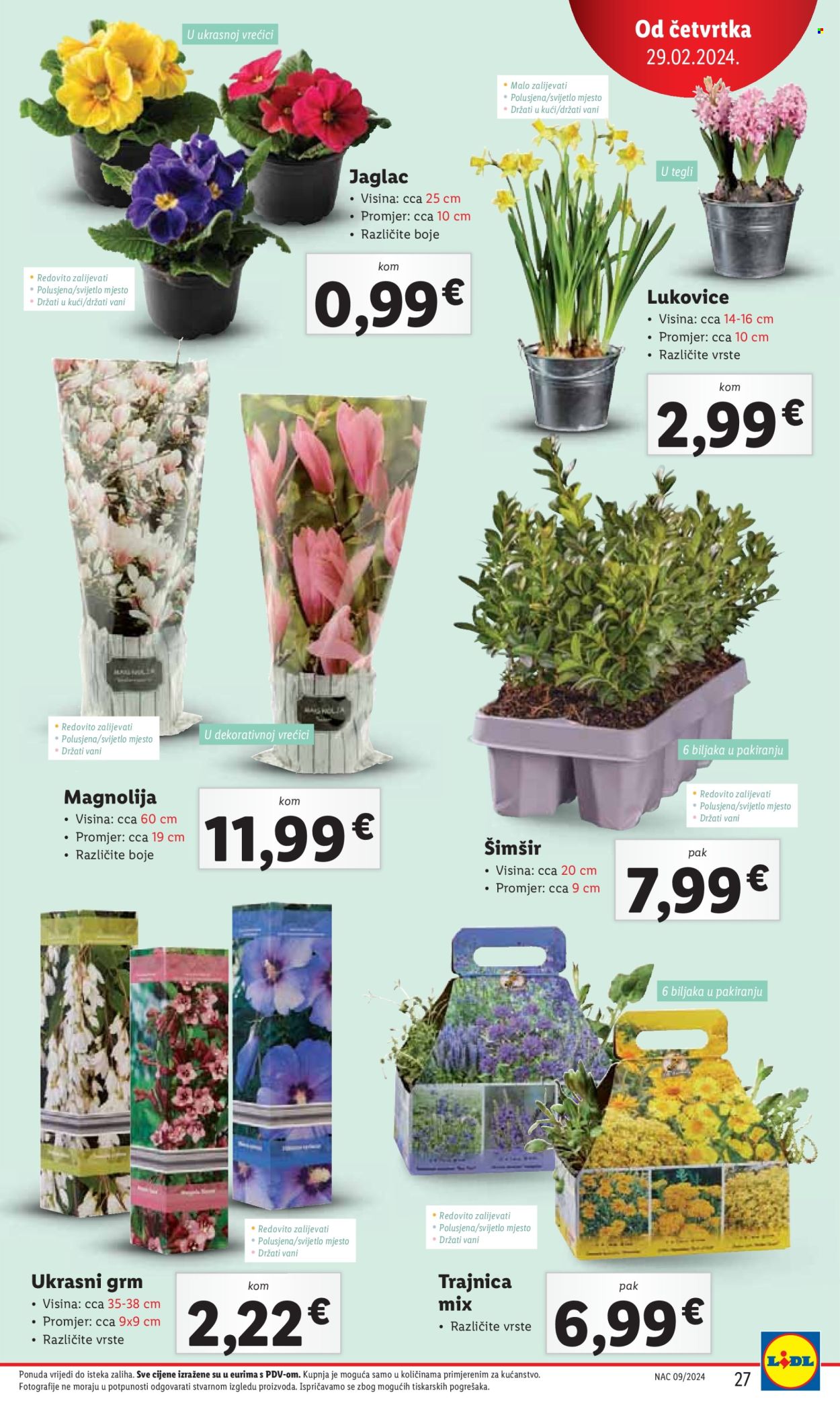 Lidl katalog - 29.02.2024. - 03.03.2024. Stranica 27