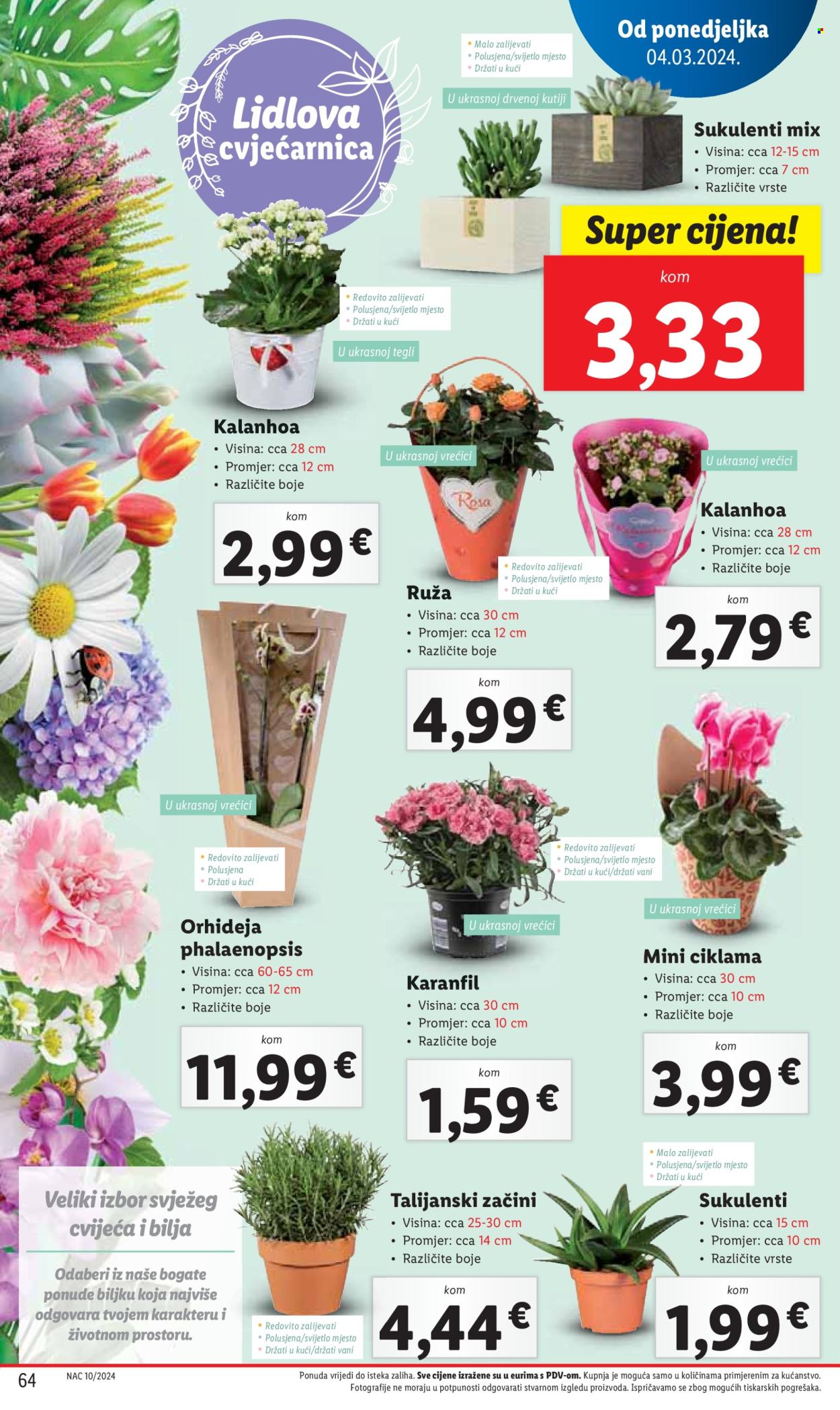 Lidl katalog - 04.03.2024. - 10.03.2024. Stranica 64